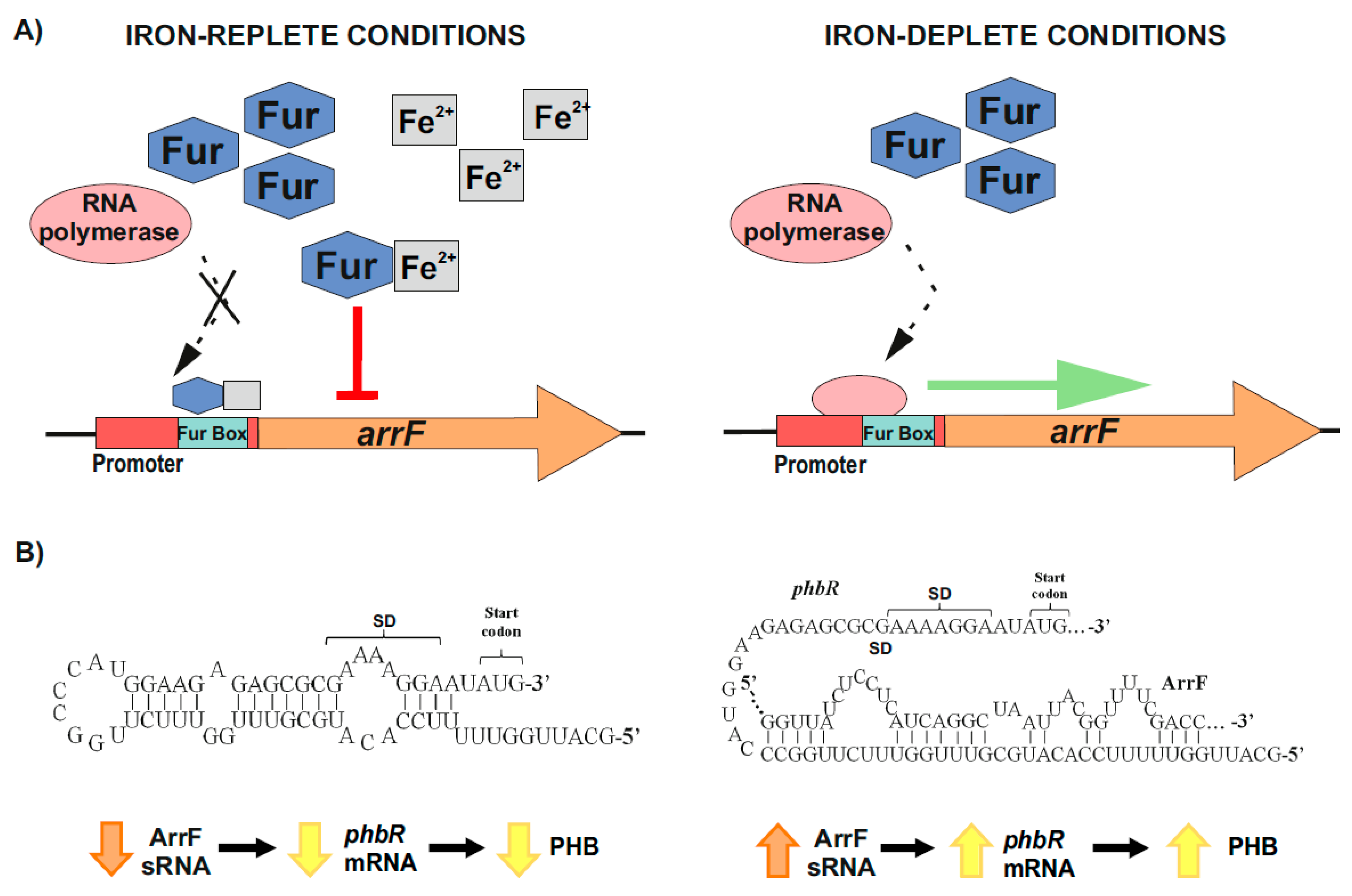 Life 11 00853 g003 Life 11 00853 g003