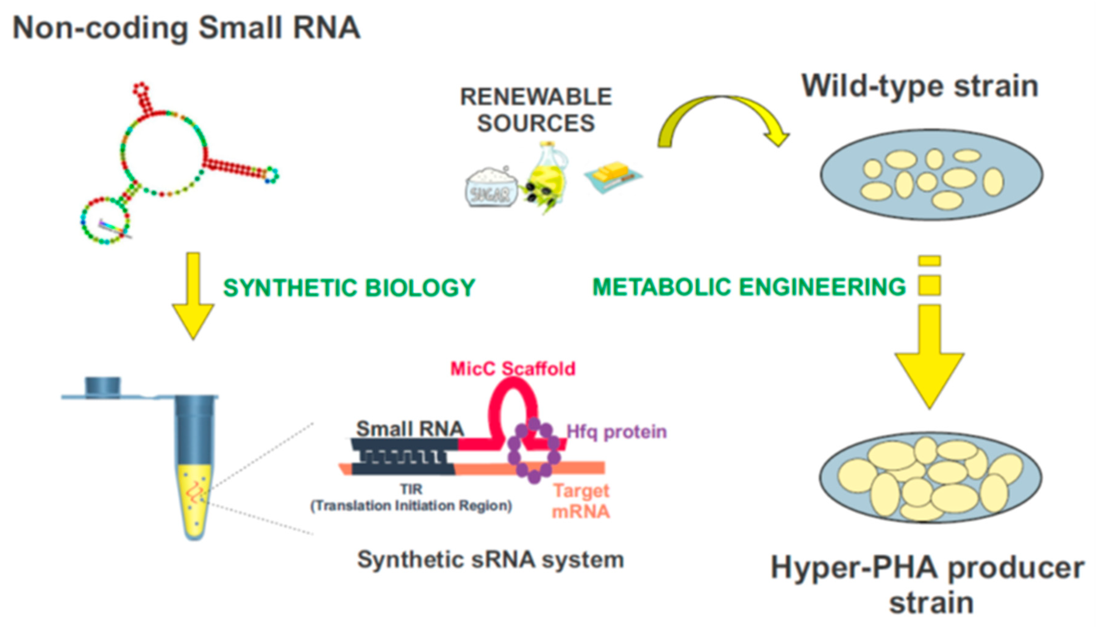 Life 11 00853 g004 Life 11 00853 g004