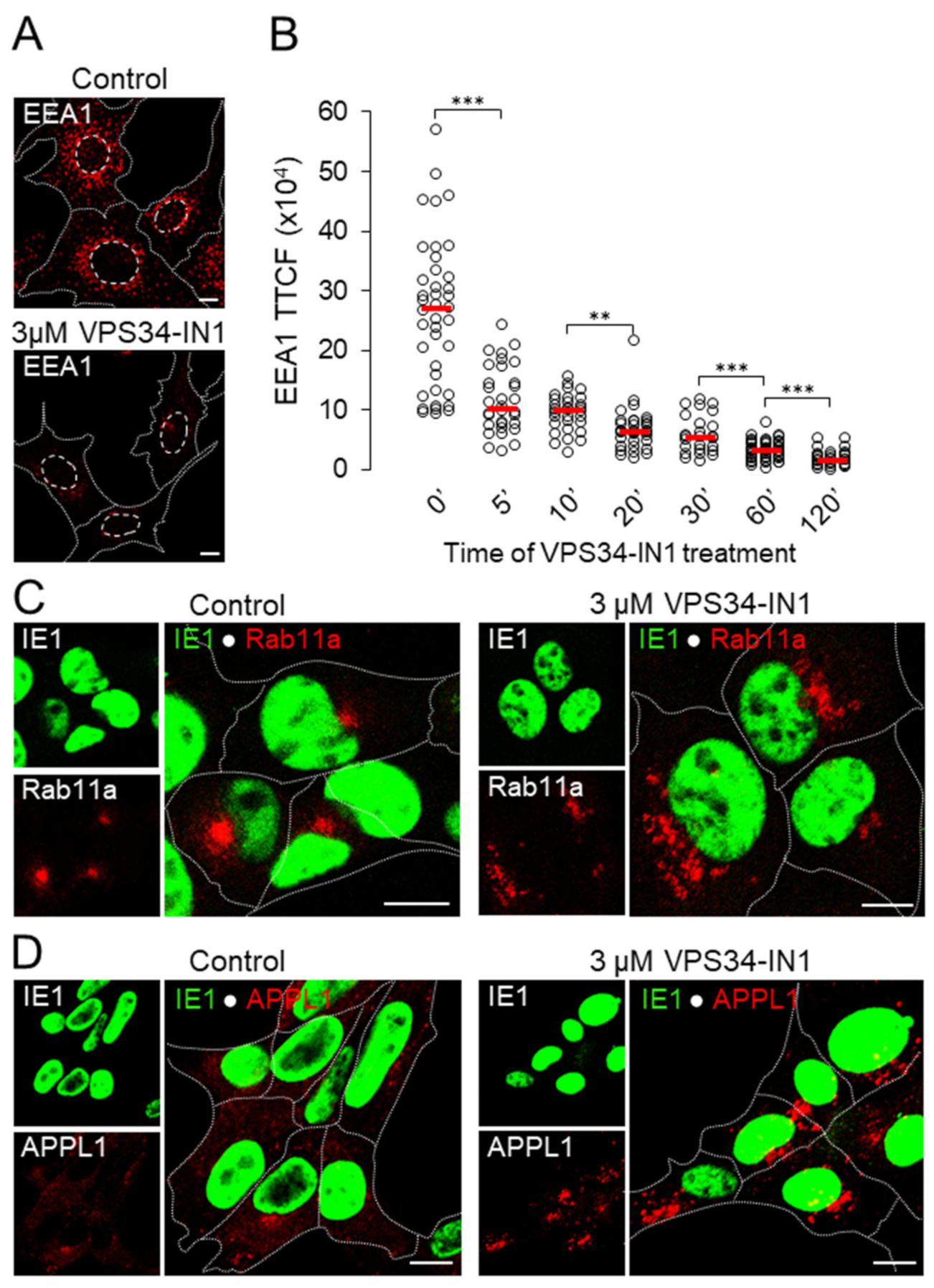 Life 11 00859 g003 Life 11 00859 g003