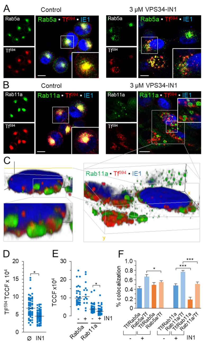 Life 11 00859 g004 Life 11 00859 g004