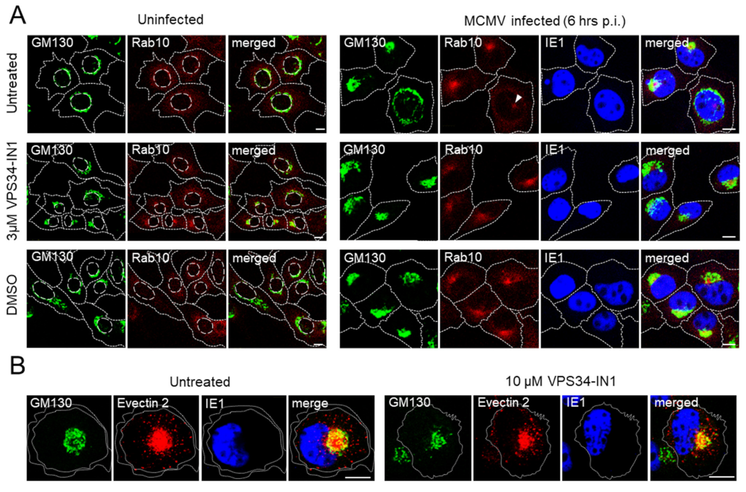 Life 11 00859 g005 Life 11 00859 g005
