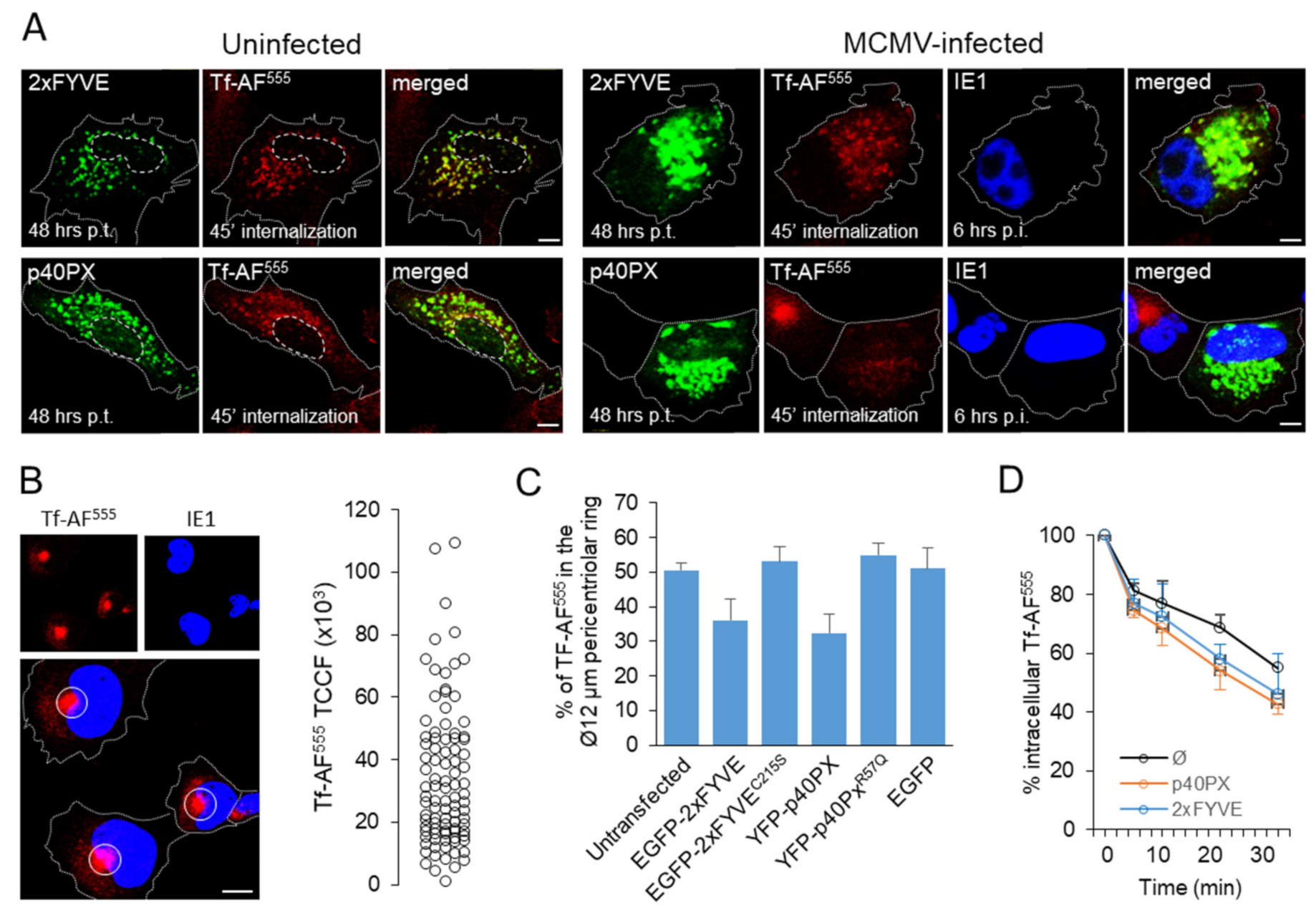 Life 11 00859 g006 Life 11 00859 g006