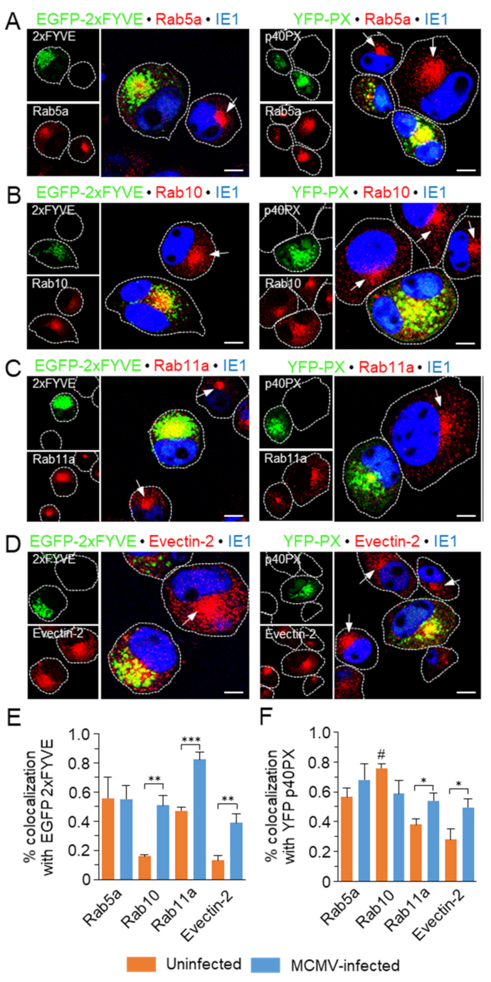 Life 11 00859 g007 Life 11 00859 g007