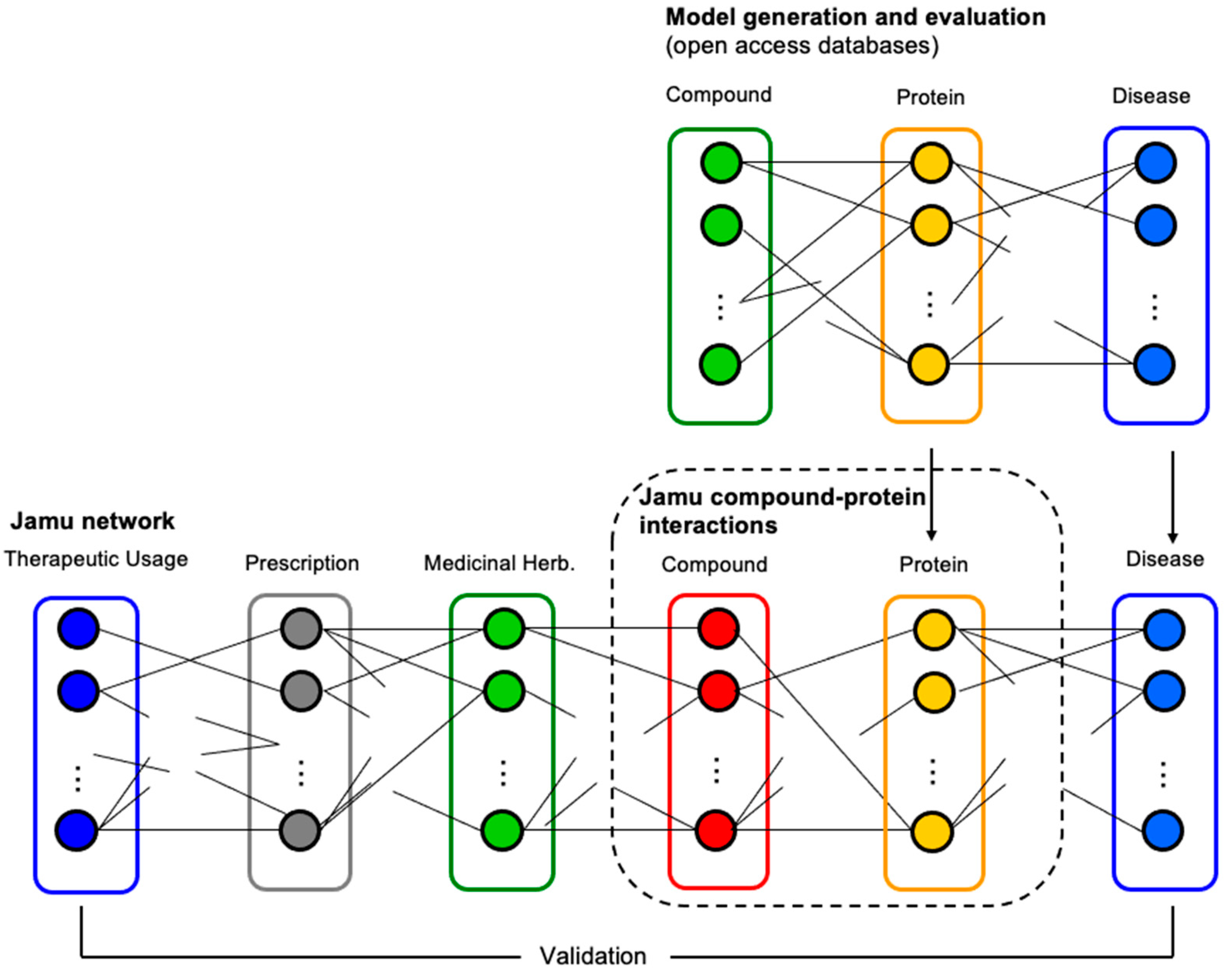Identification of Targeted Proteins by Jamu Formulas for
