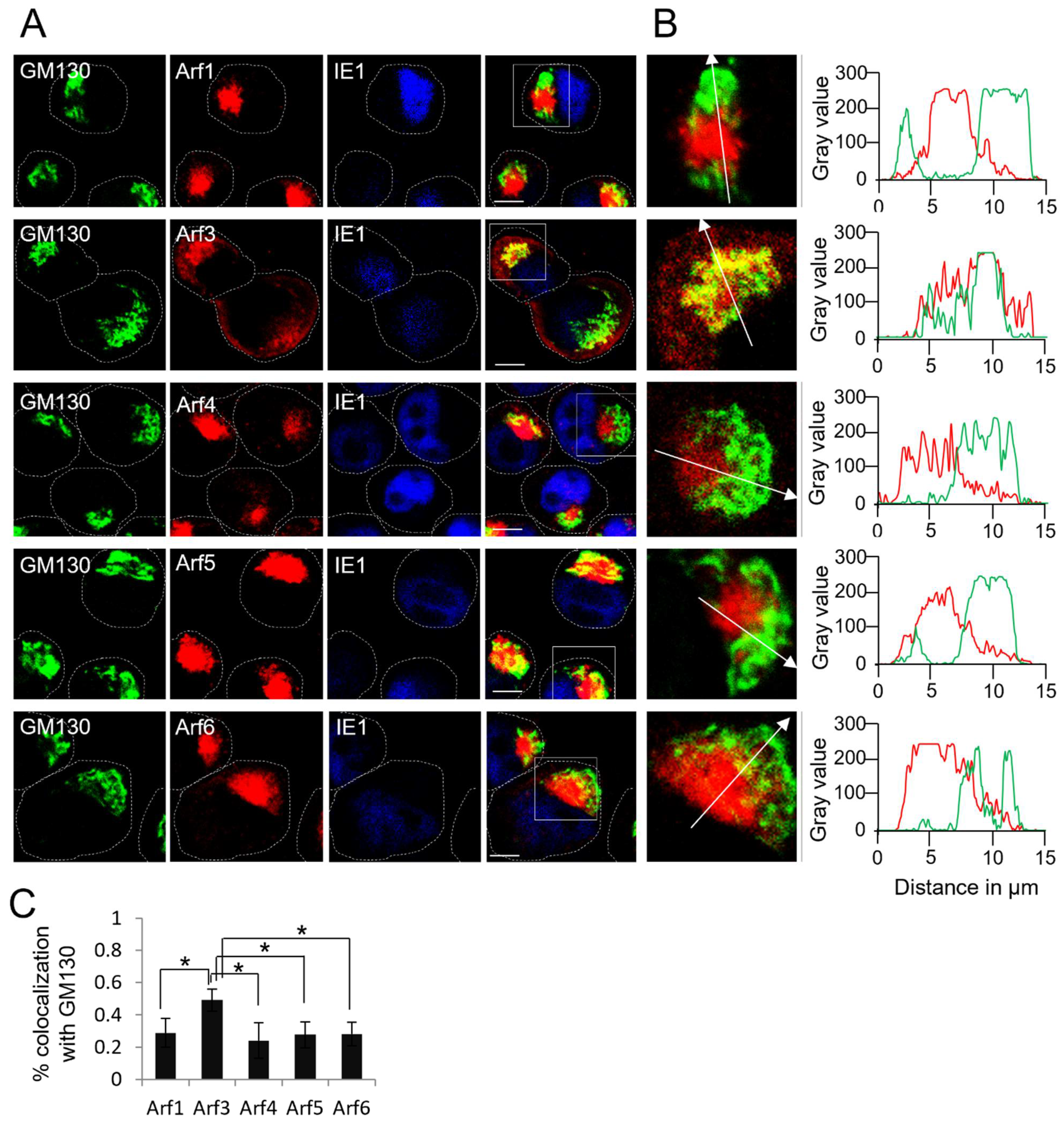 Life 11 00867 g005 Life 11 00867 g005