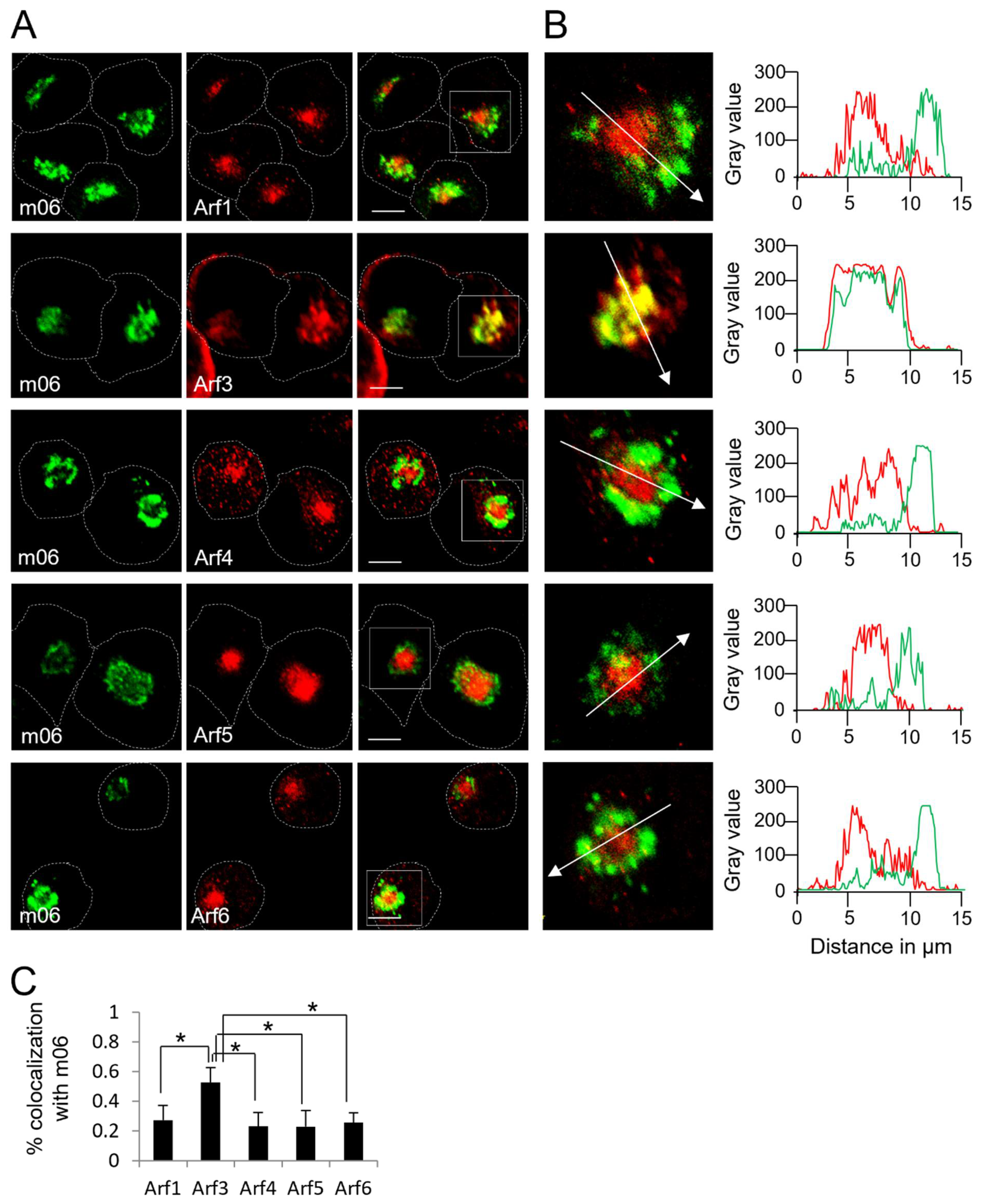 Life 11 00867 g006 Life 11 00867 g006