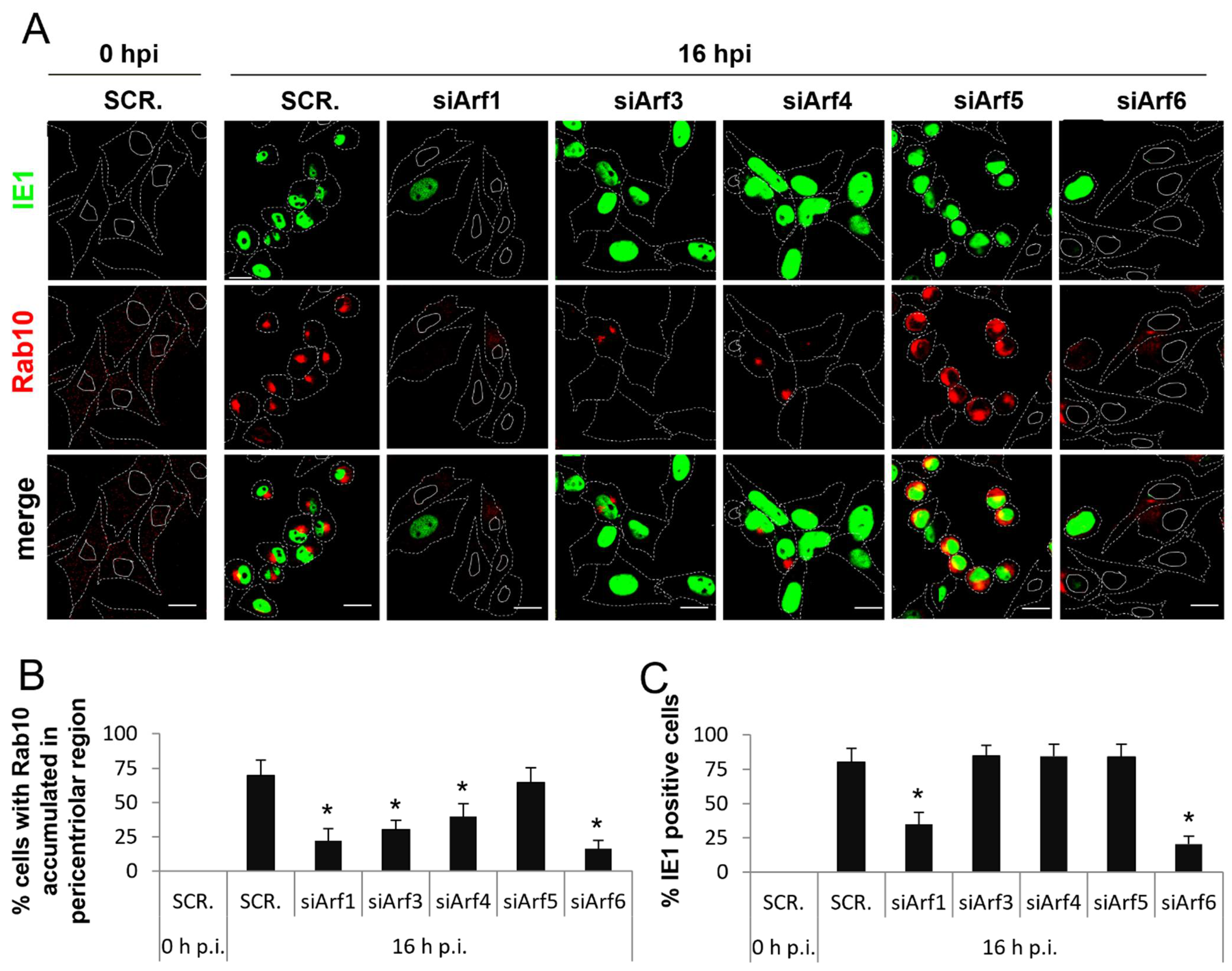 Life 11 00867 g008 Life 11 00867 g008
