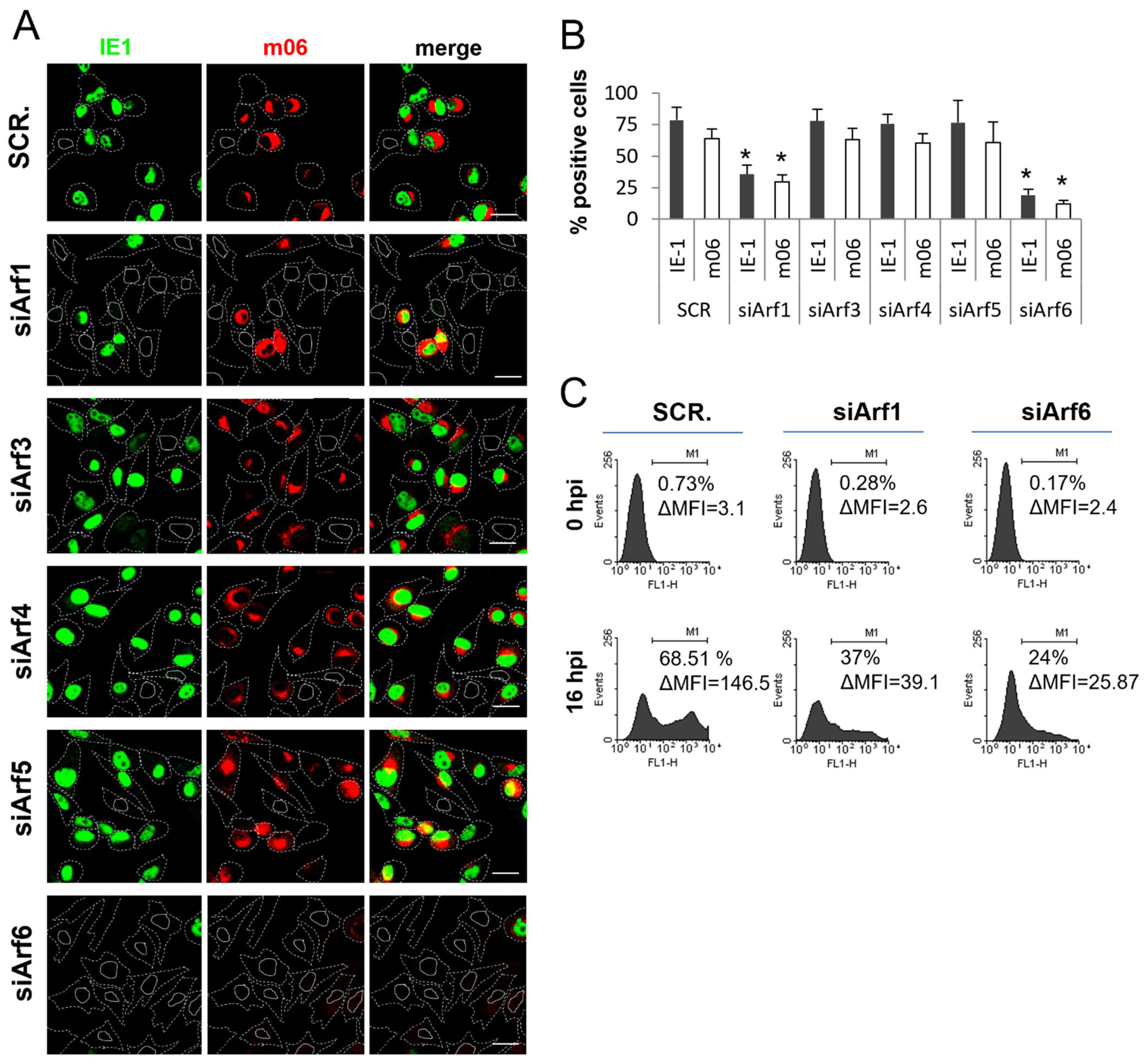 Life 11 00867 g009 Life 11 00867 g009