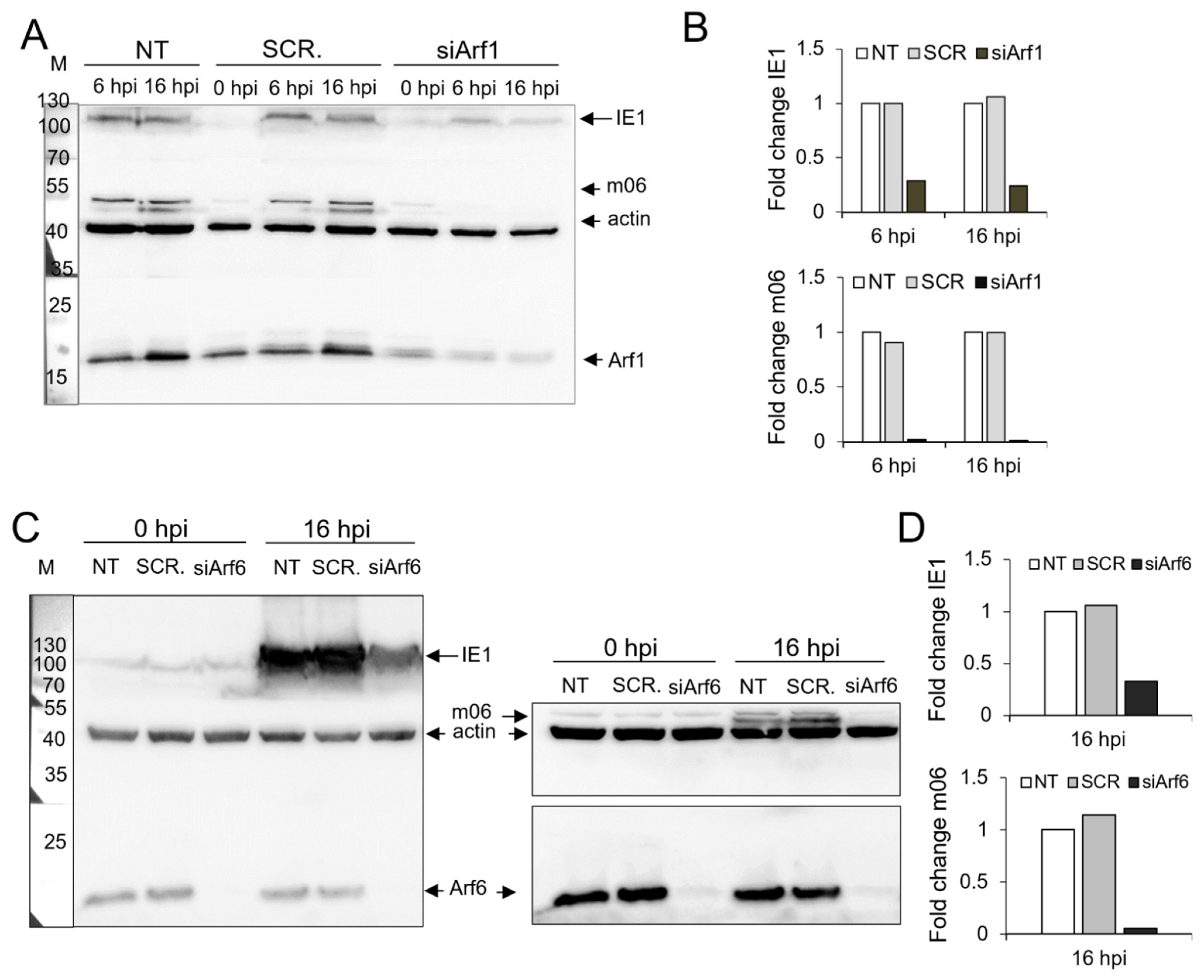 Life 11 00867 g010 Life 11 00867 g010
