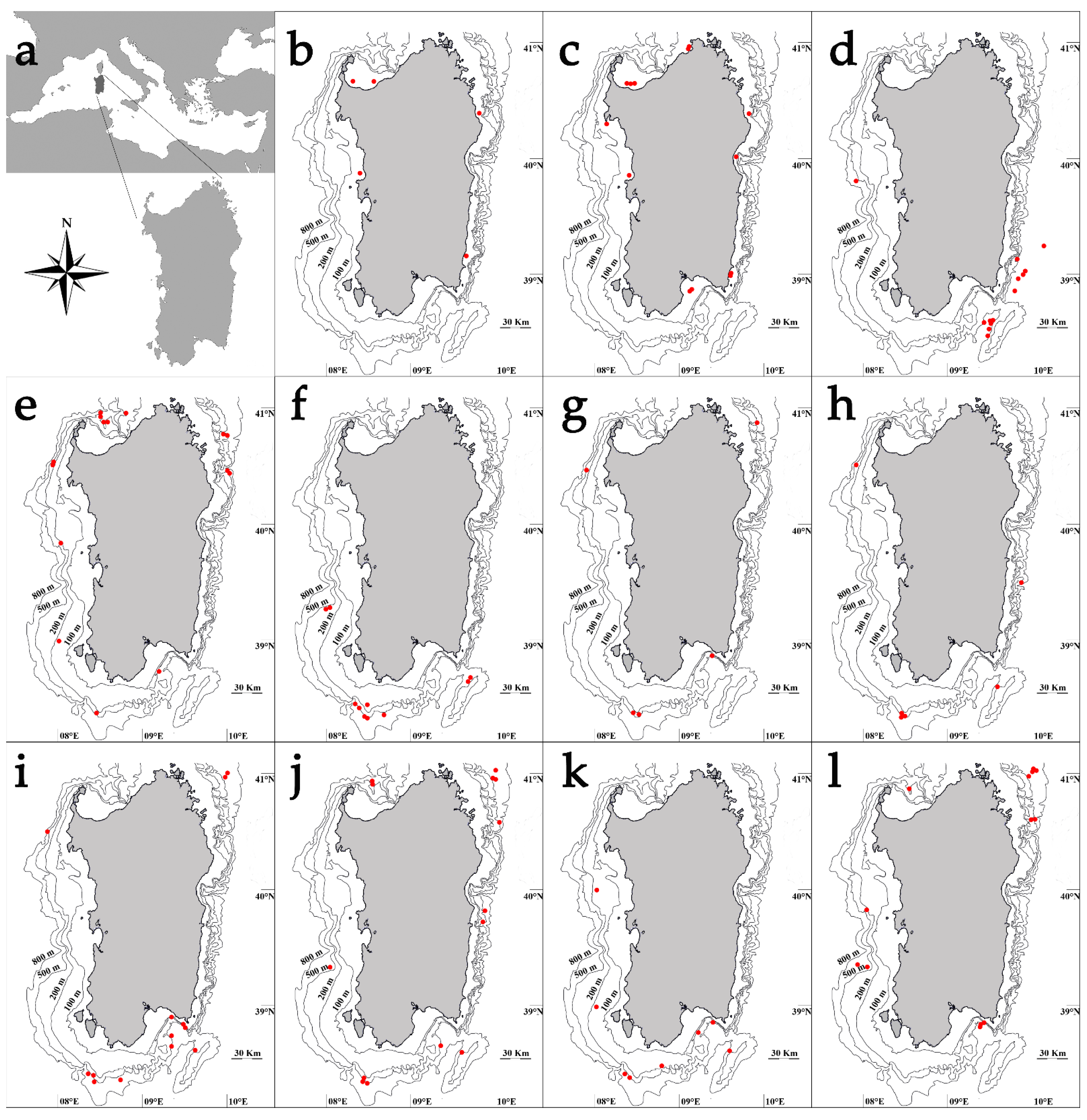 Life 11 00871 g001 550