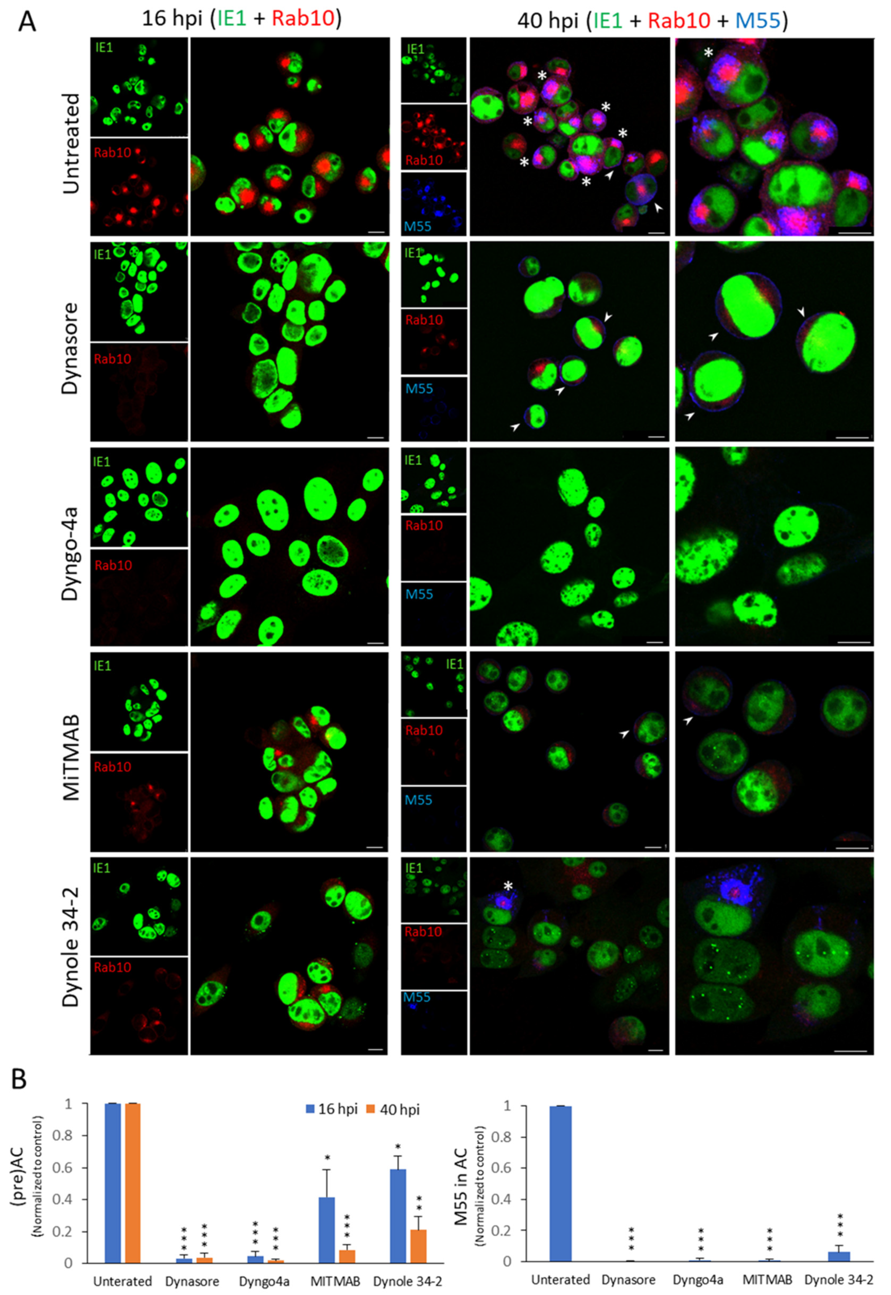 Life 11 00876 g003 Life 11 00876 g003