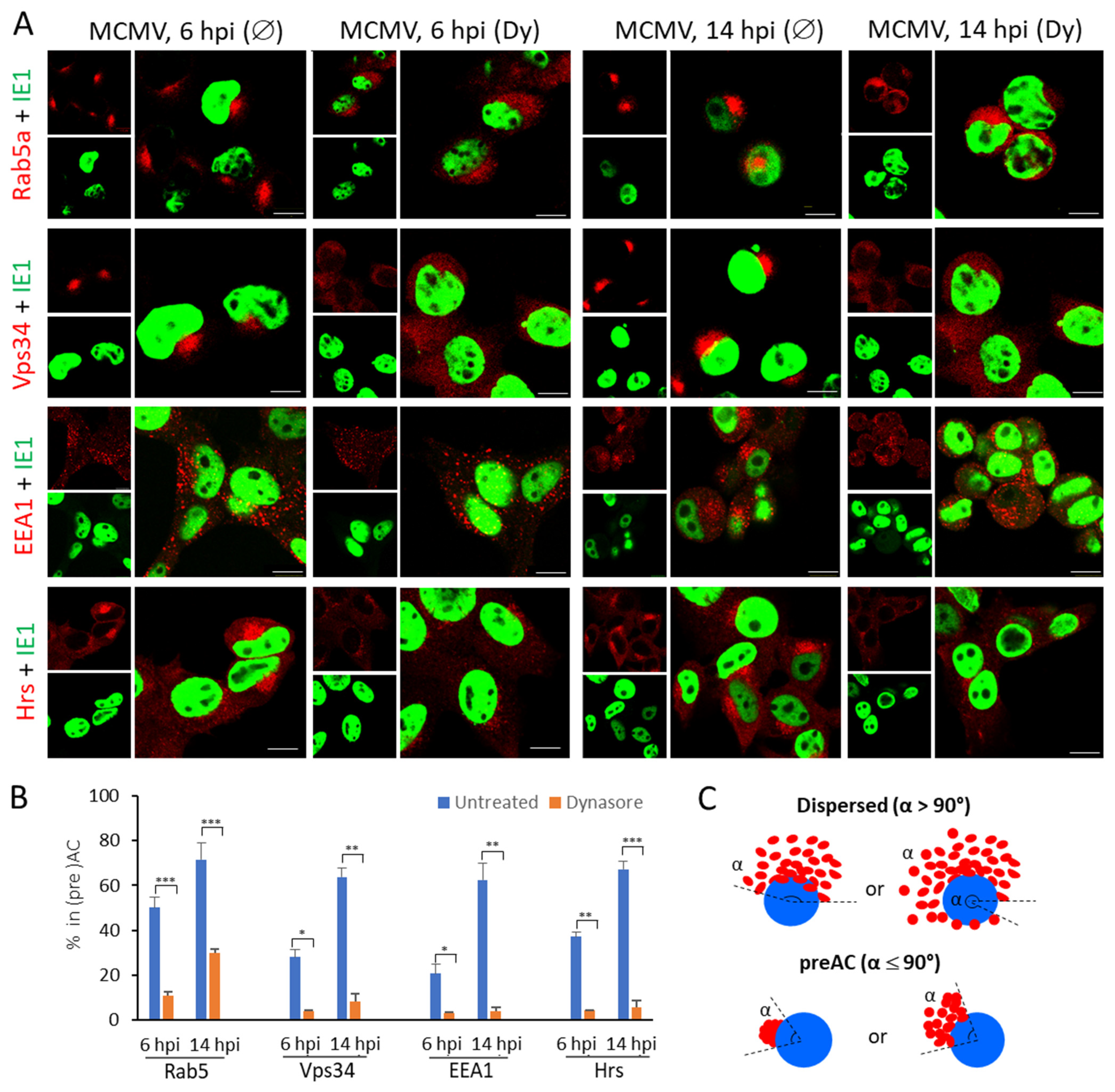 Life 11 00876 g004 Life 11 00876 g004