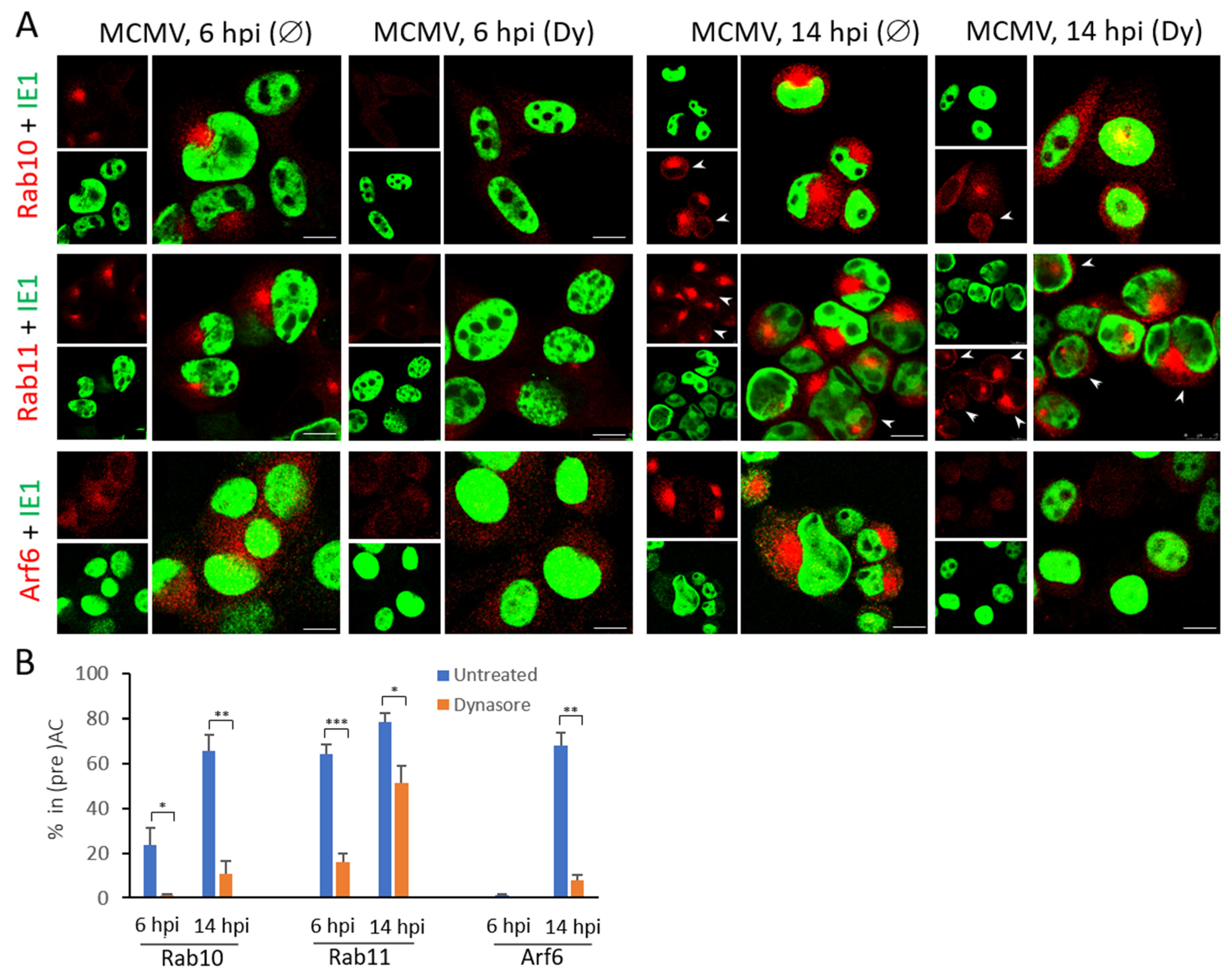 Life 11 00876 g005 Life 11 00876 g005