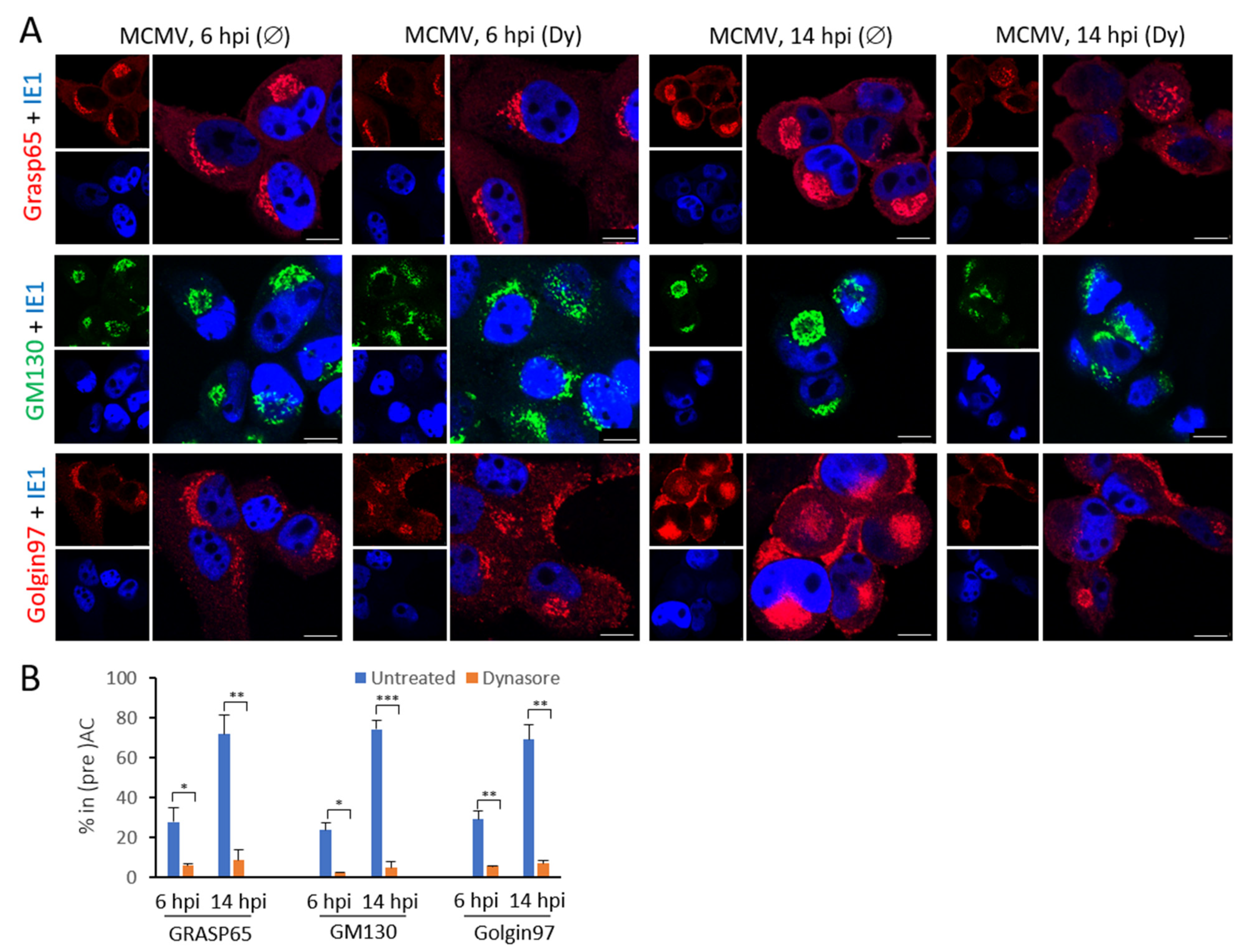 Life 11 00876 g006 Life 11 00876 g006