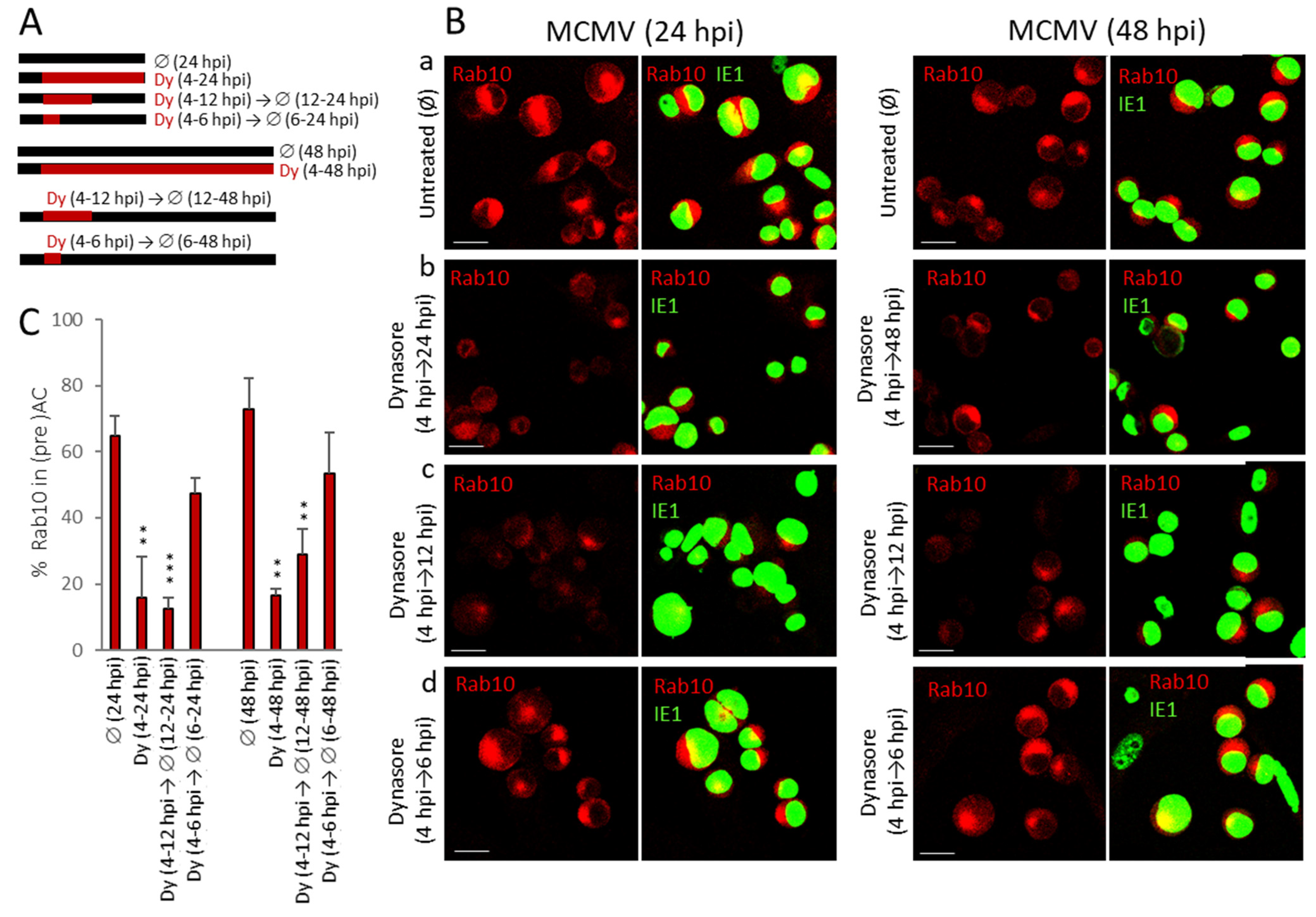 Life 11 00876 g007 Life 11 00876 g007