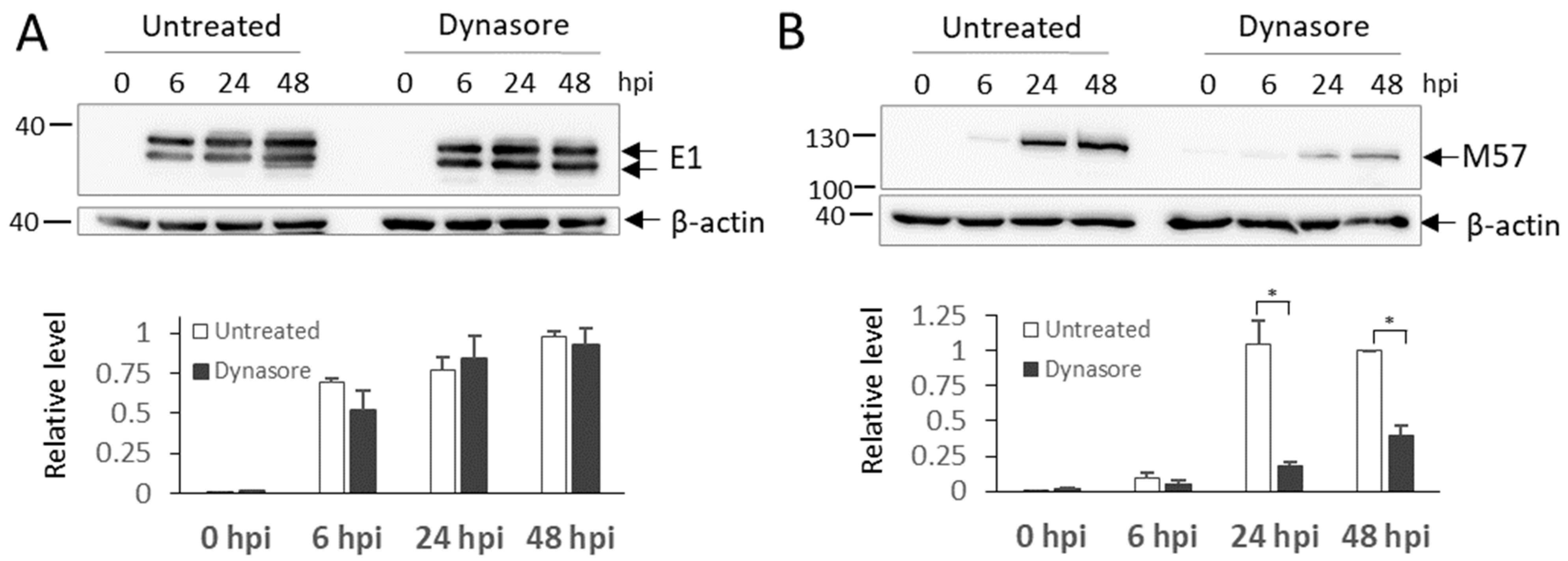 Life 11 00876 g008 Life 11 00876 g008