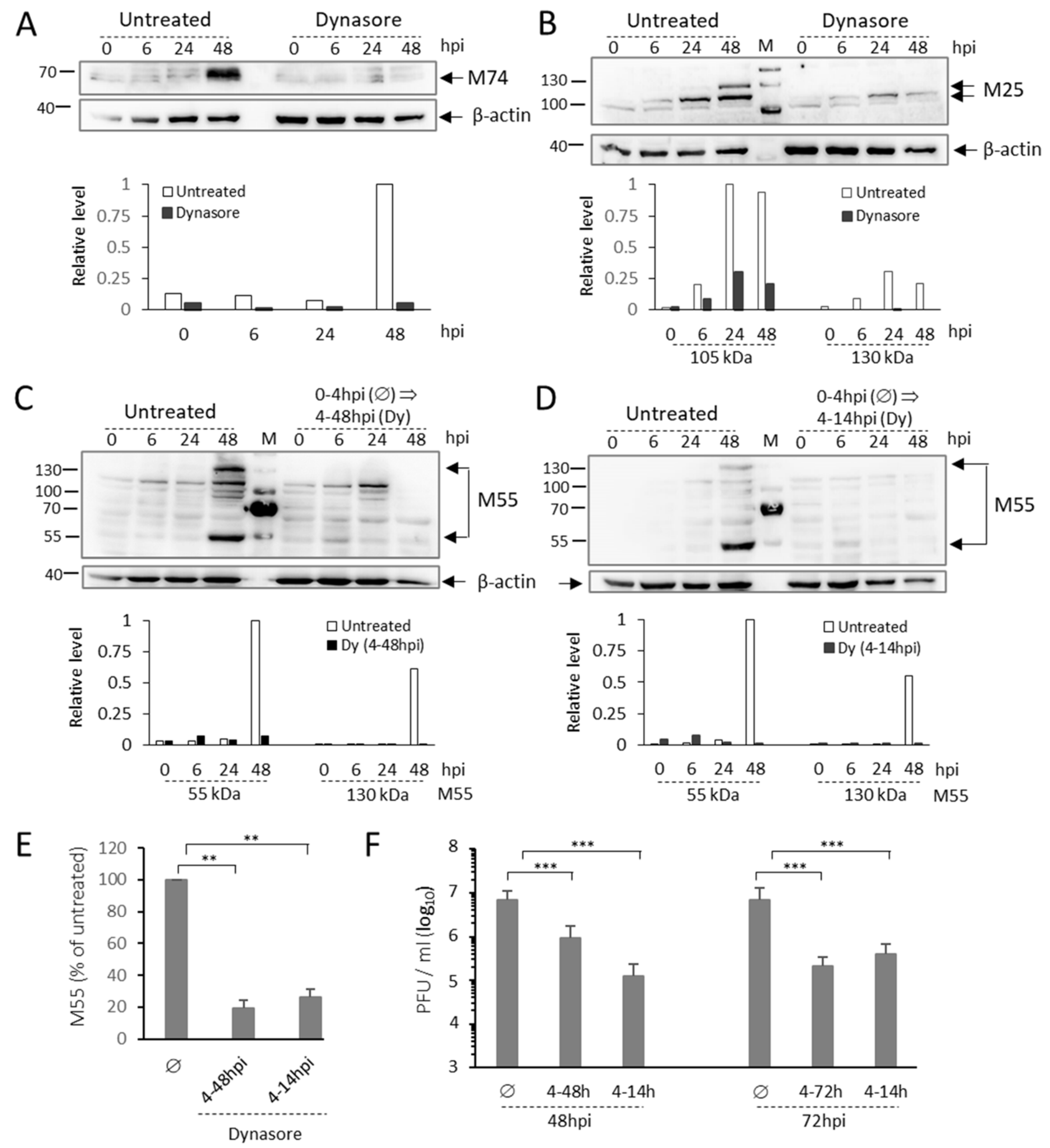 Life 11 00876 g009 Life 11 00876 g009