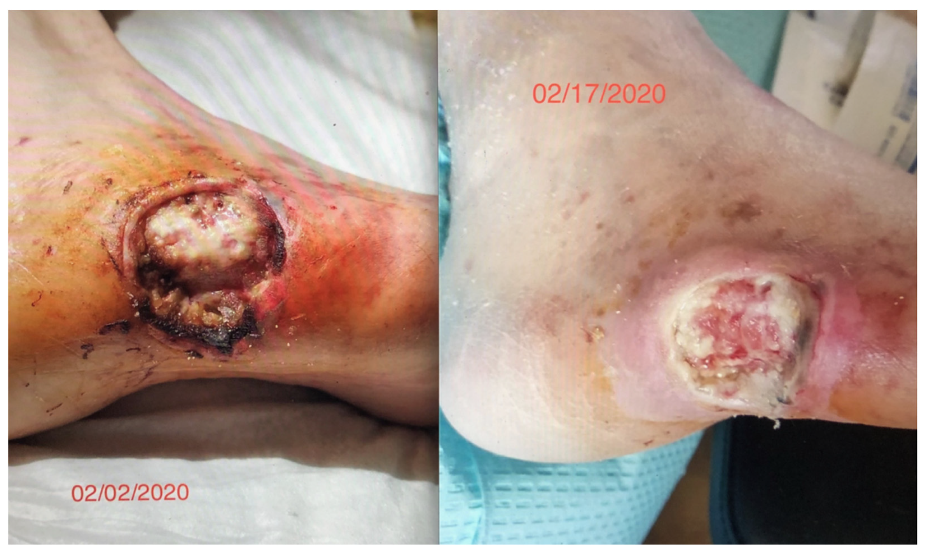 Life 11 00878 g001 550