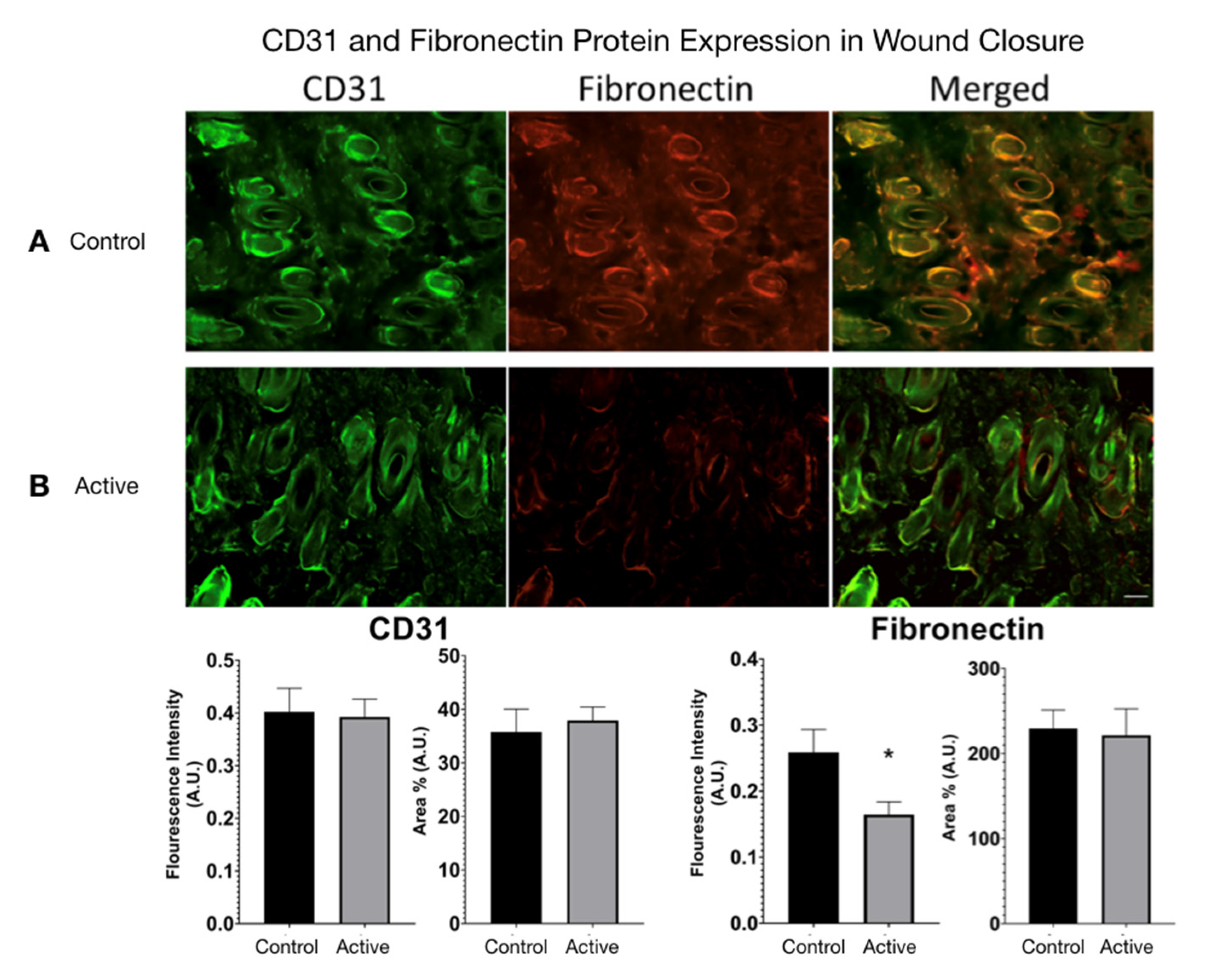 Life 11 00878 g007 550