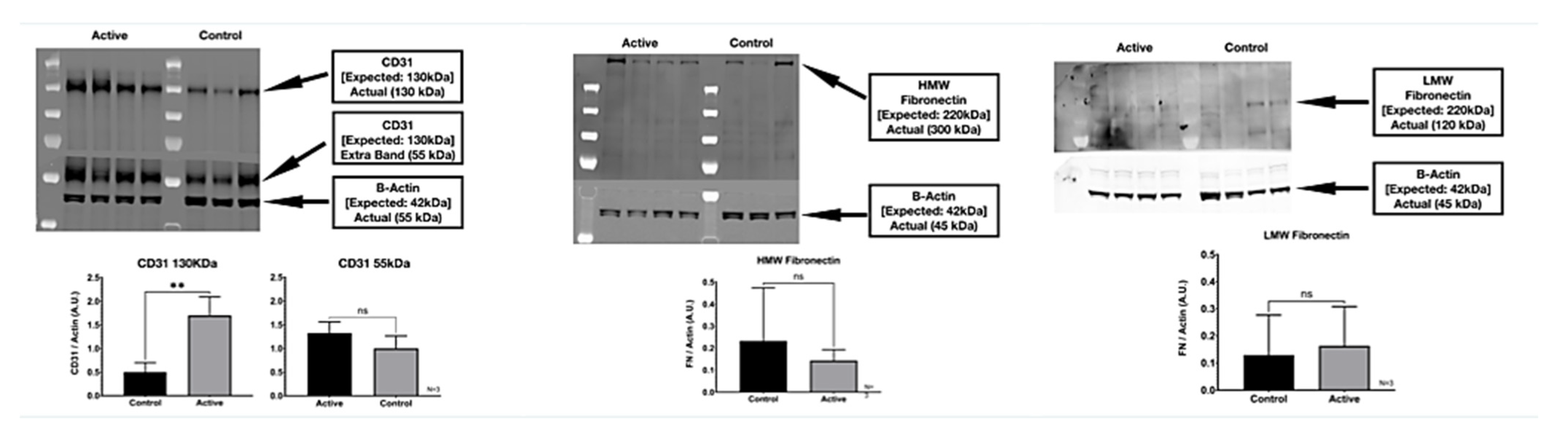 Life 11 00878 g008 550