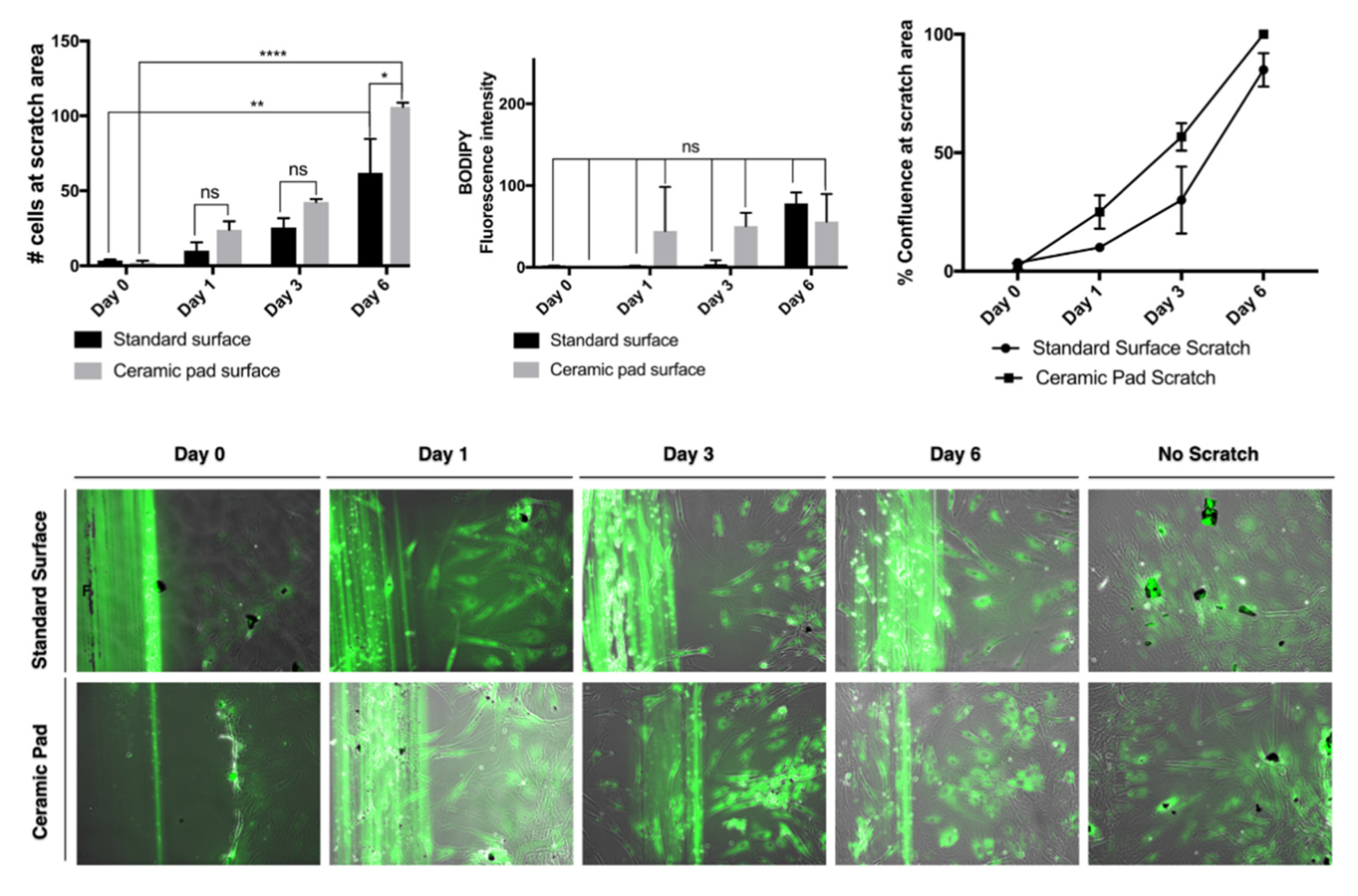 Life 11 00878 g010 550