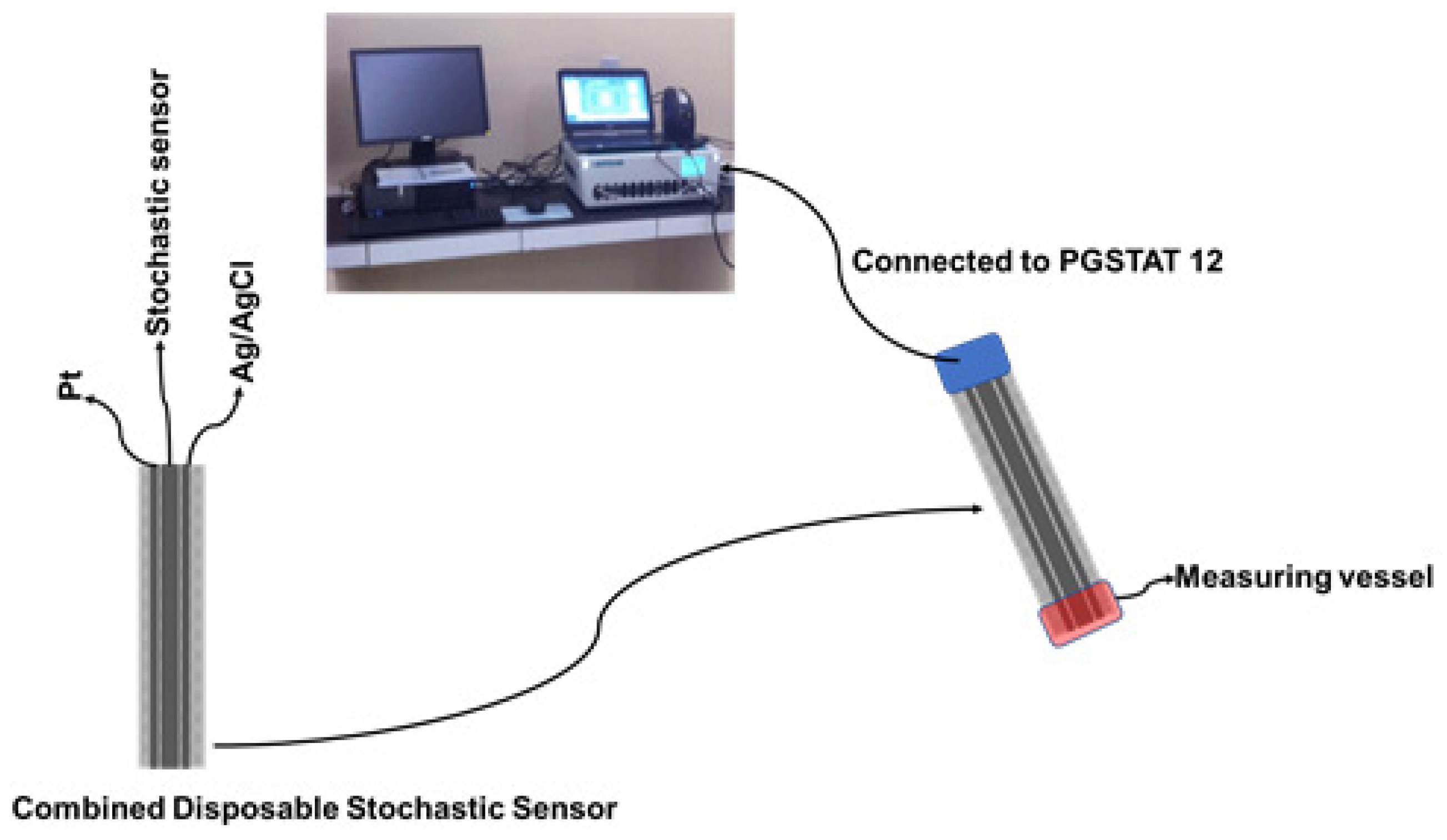 Life 11 00894 g002 550