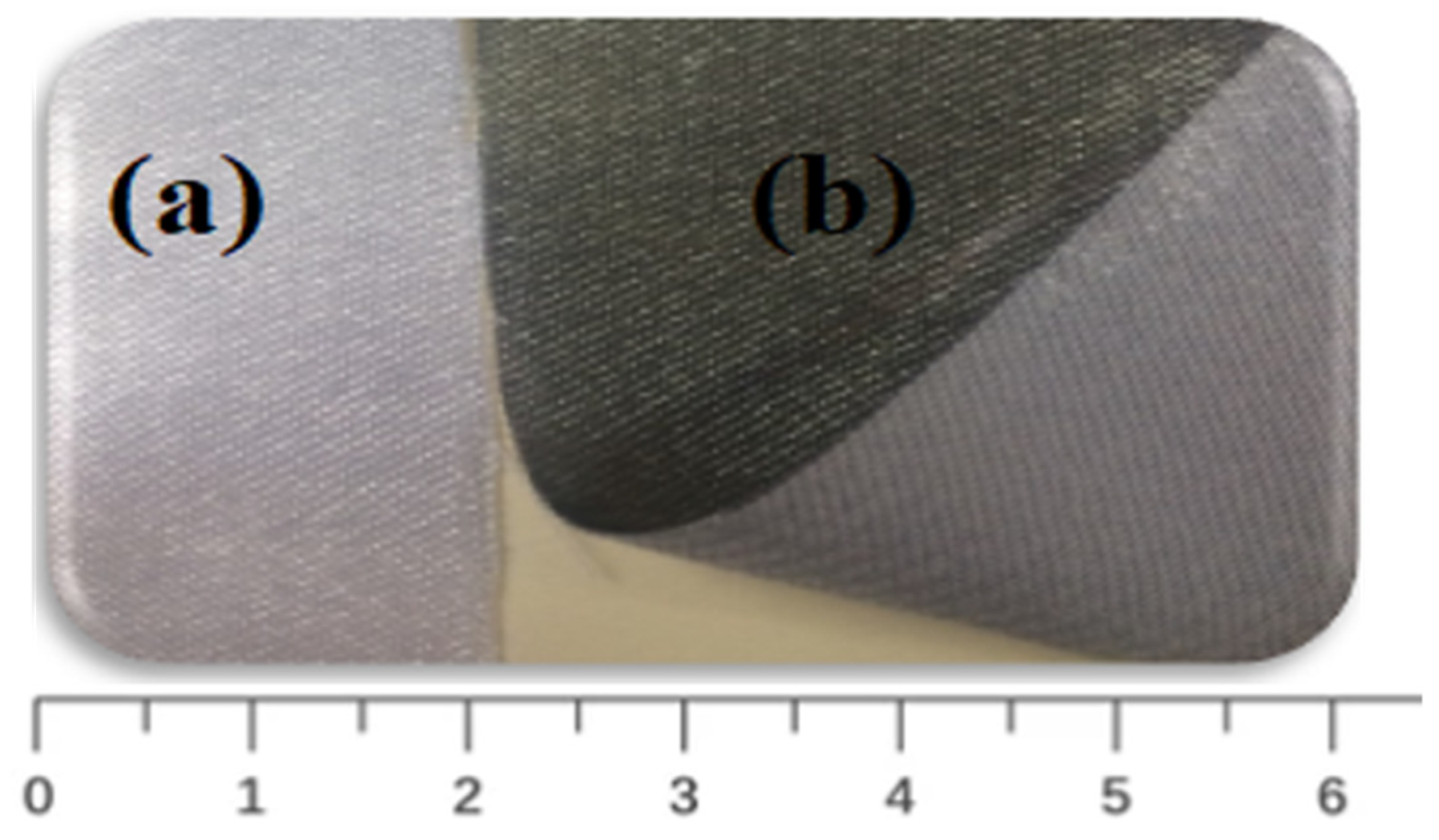 Life 11 00894 g003 550