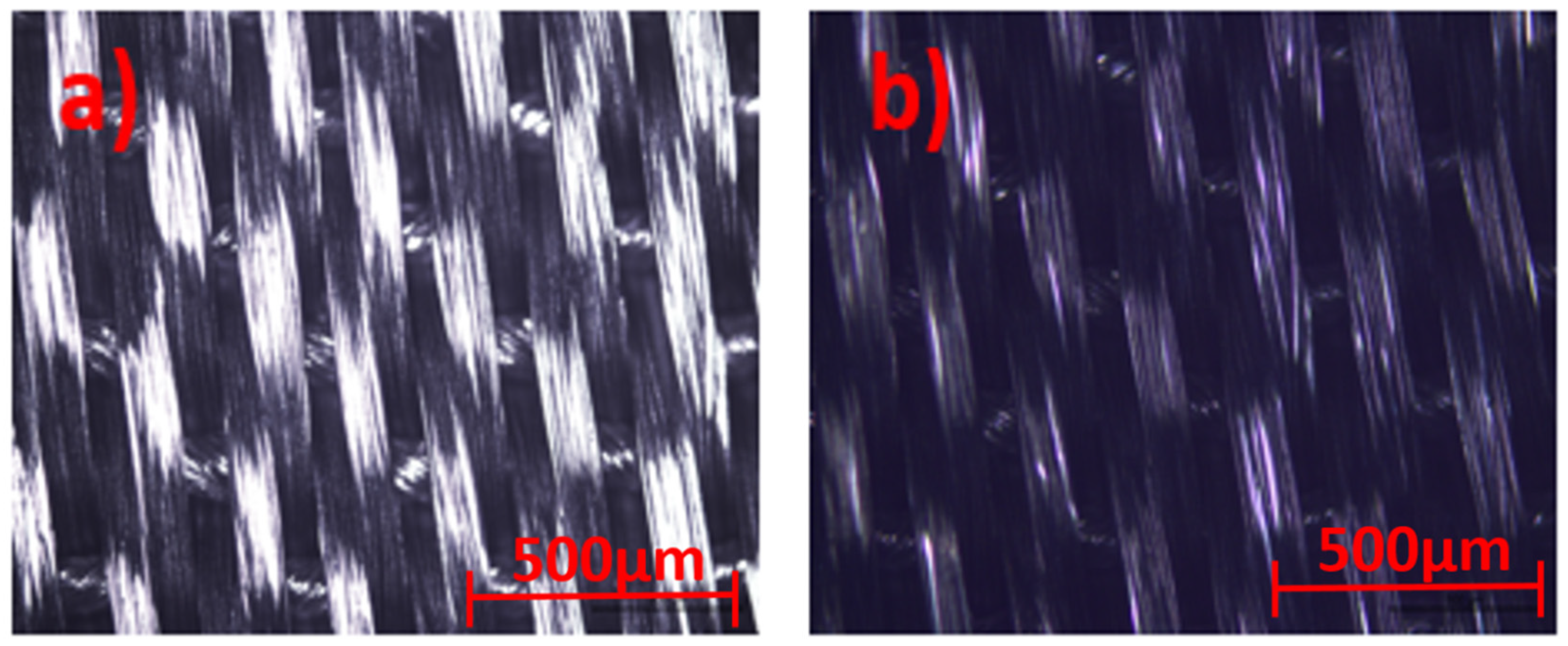 Life 11 00894 g004 550