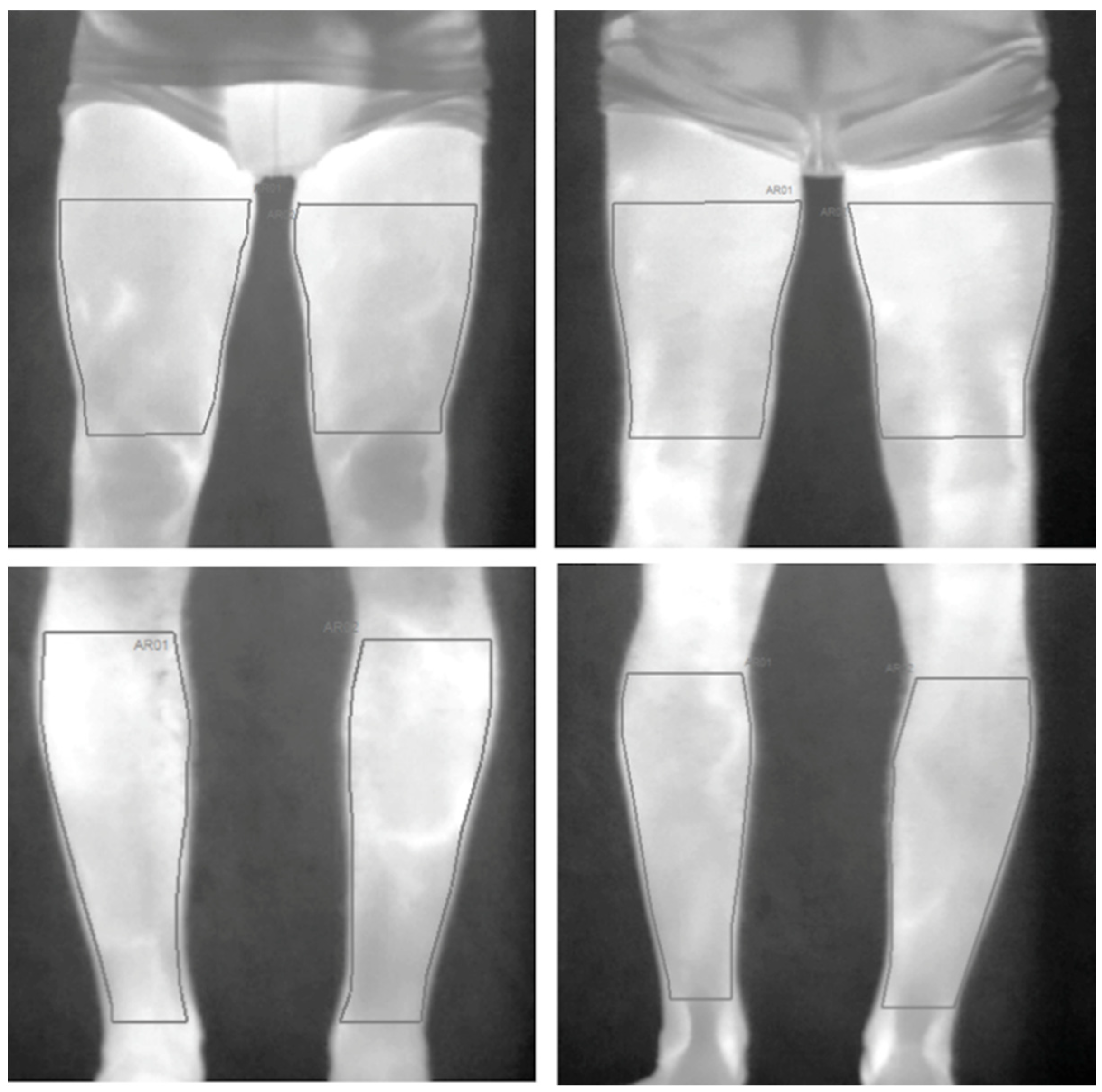 Life 11 00905 g002 Life 11 00905 g002