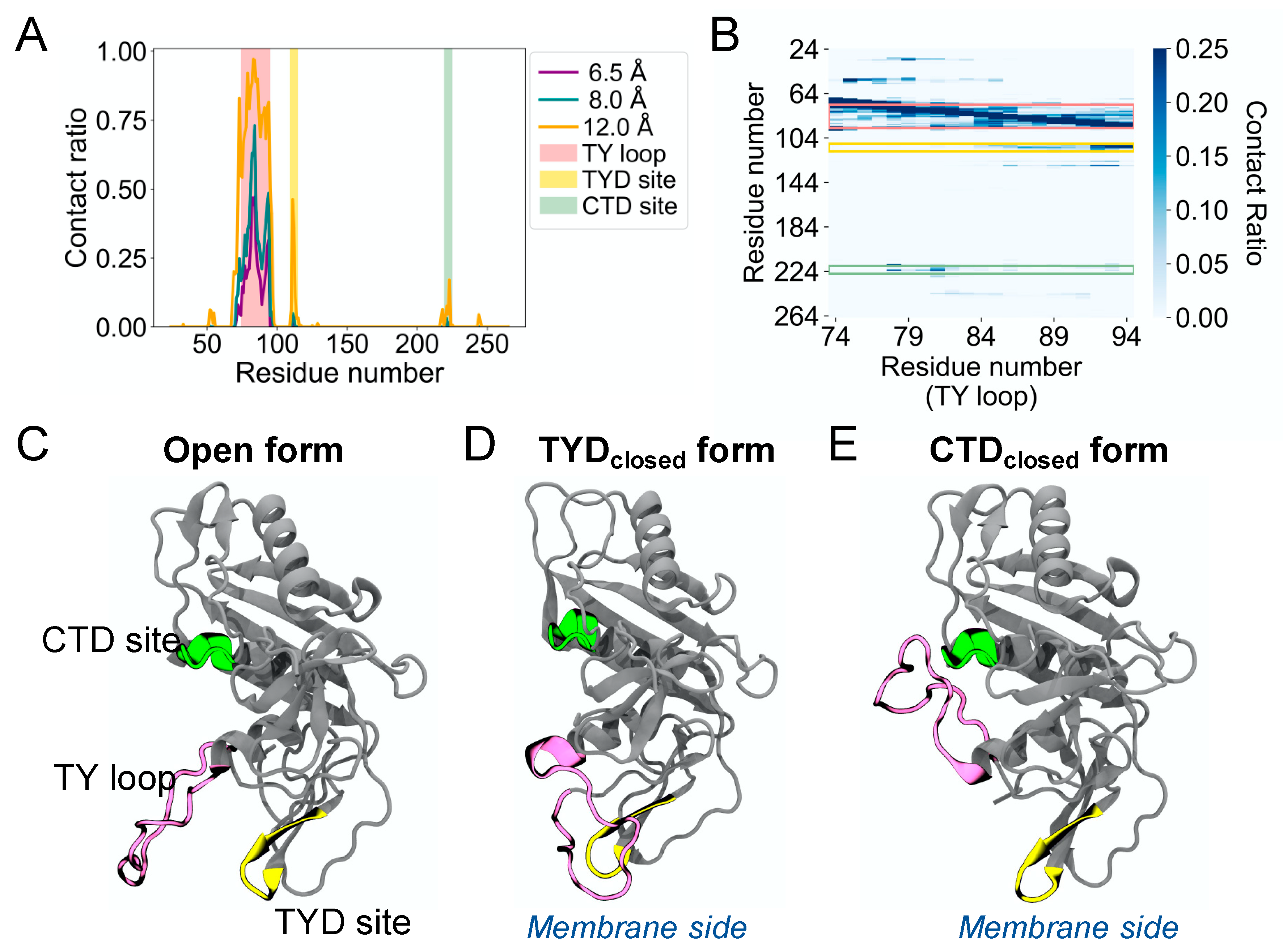 Life 11 00915 g001 550