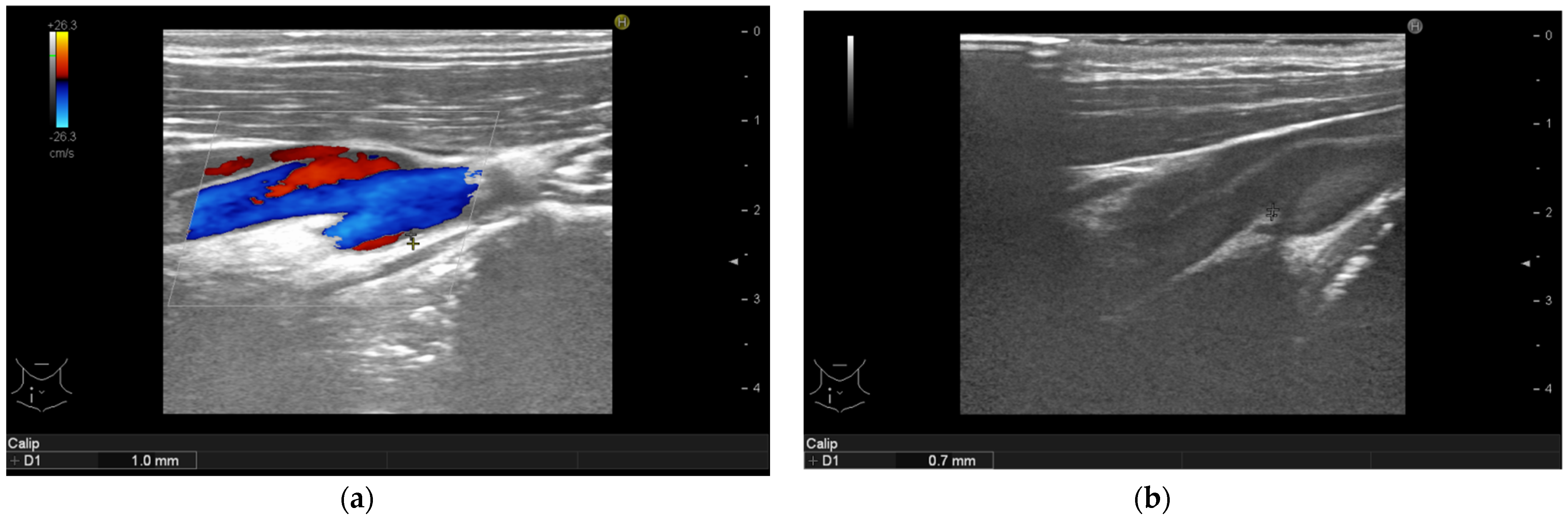 Life 11 00919 g001 550