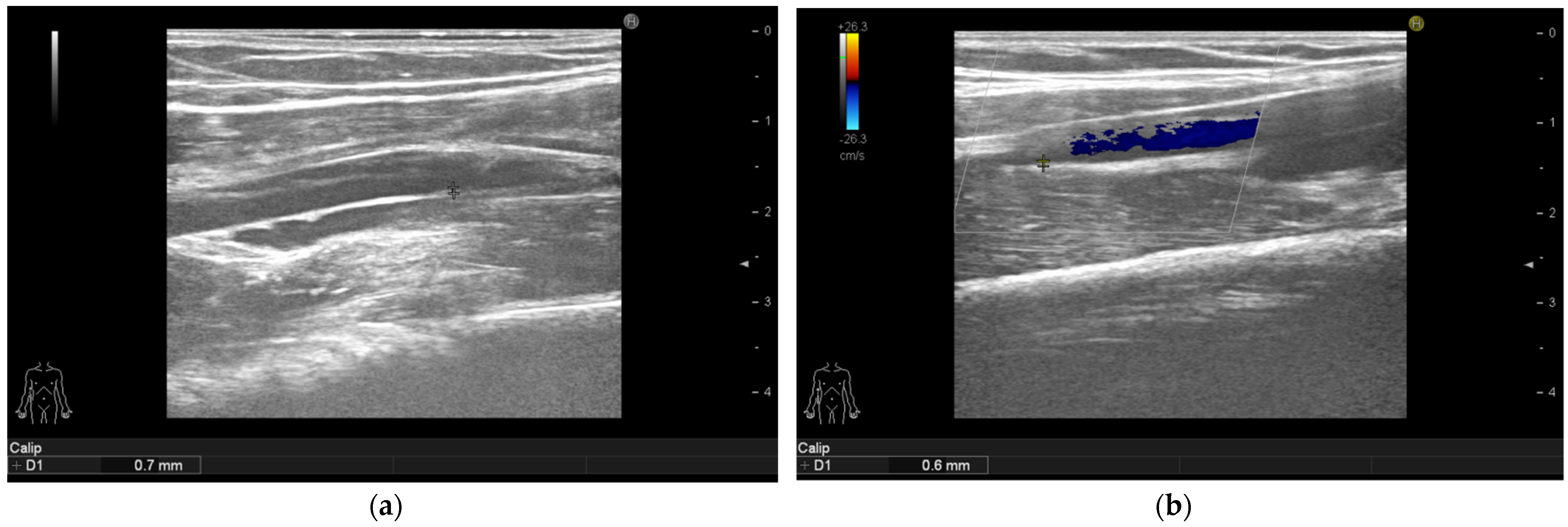 Life 11 00919 g002 550