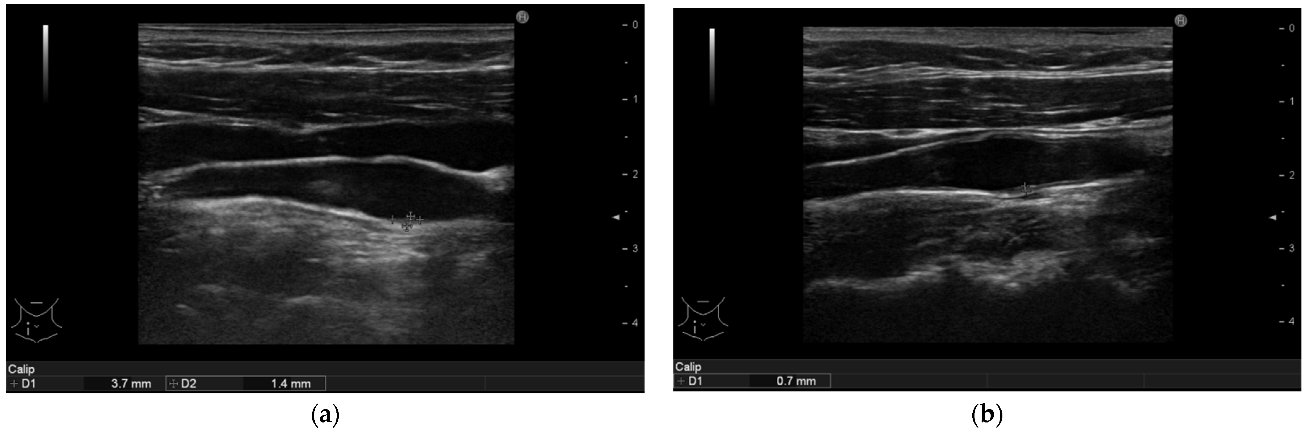 Life 11 00919 g004 550