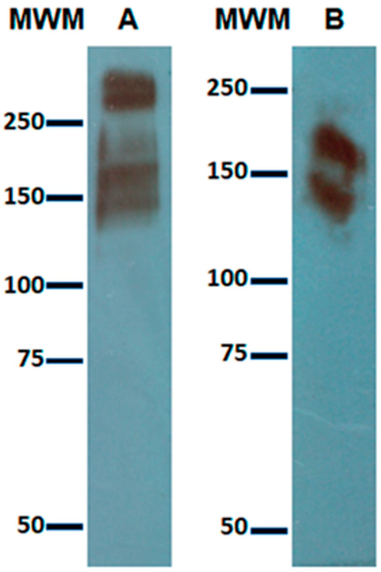 Life 11 00923 g001 550