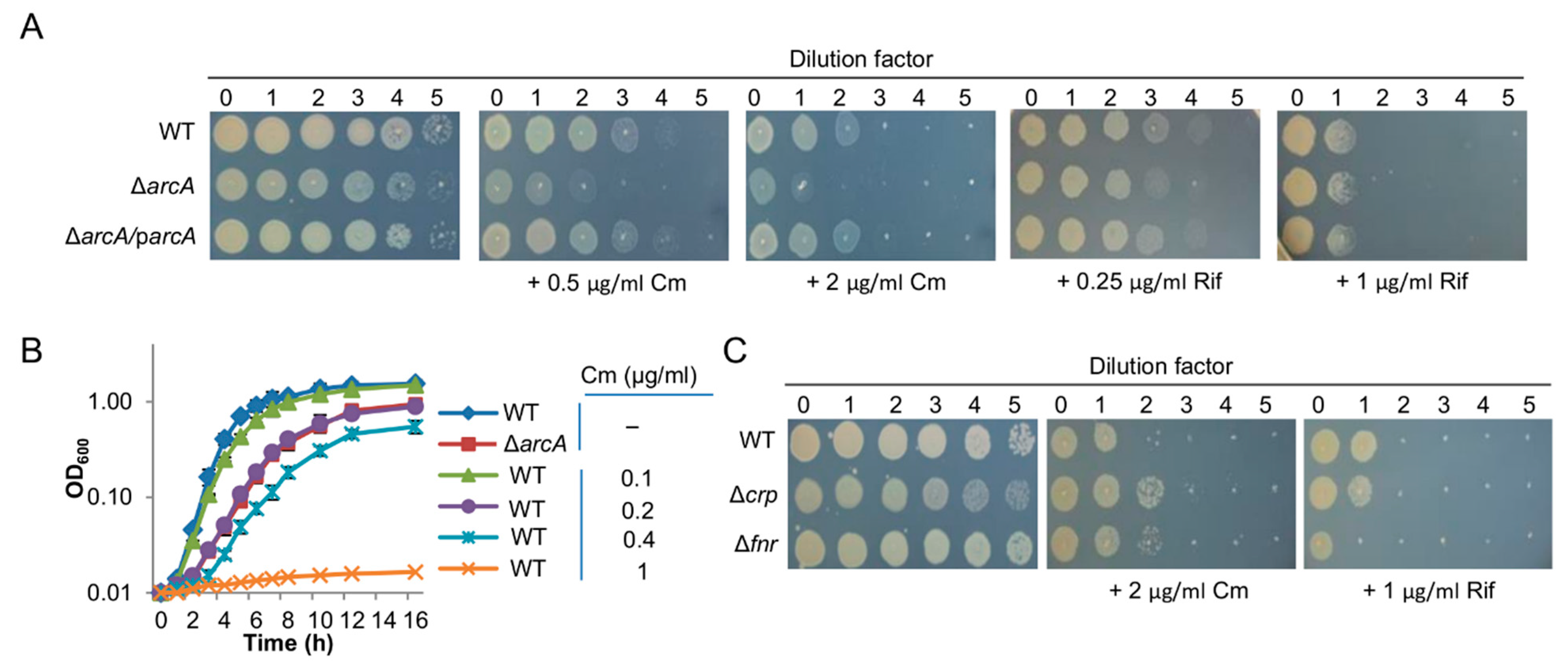 Life 11 00926 g003 Life 11 00926 g003