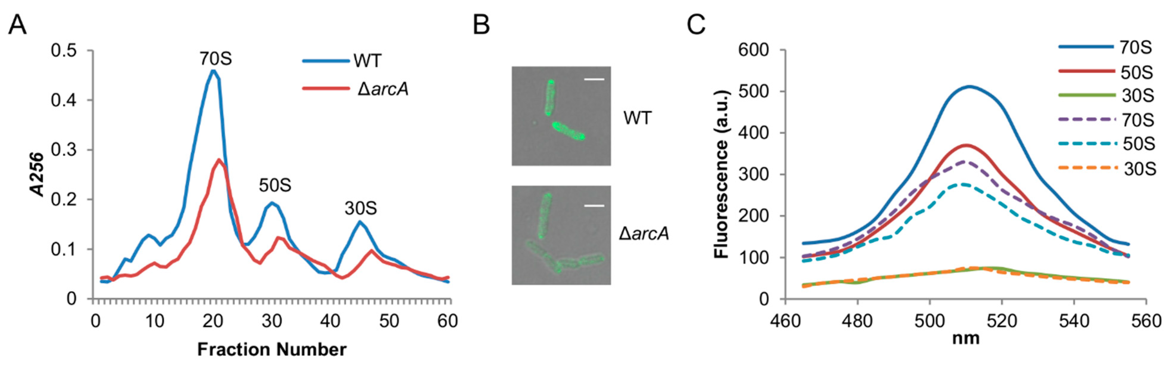 Life 11 00926 g004 Life 11 00926 g004