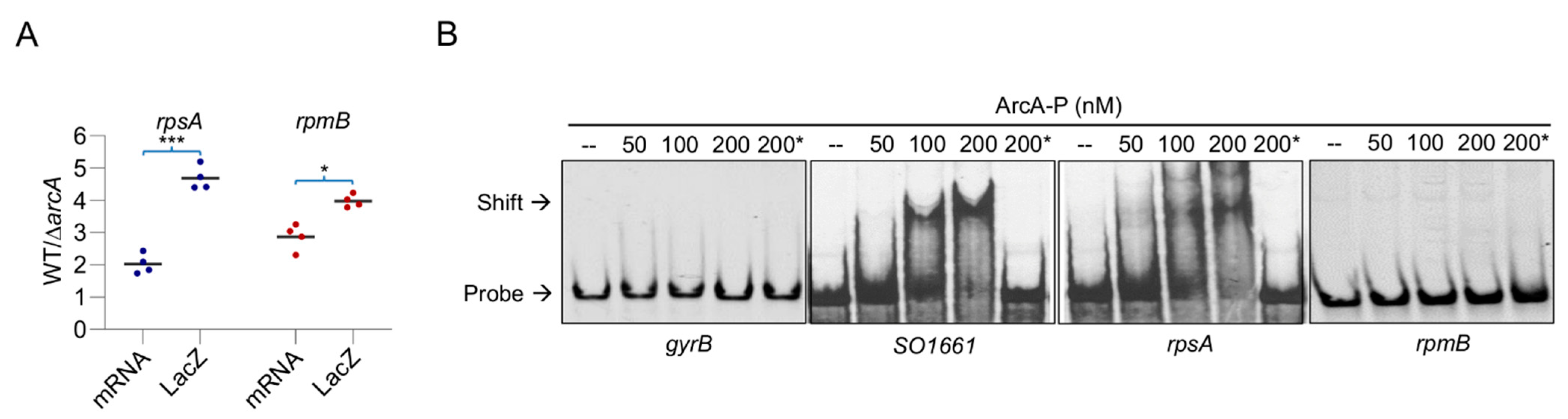 Life 11 00926 g005 Life 11 00926 g005