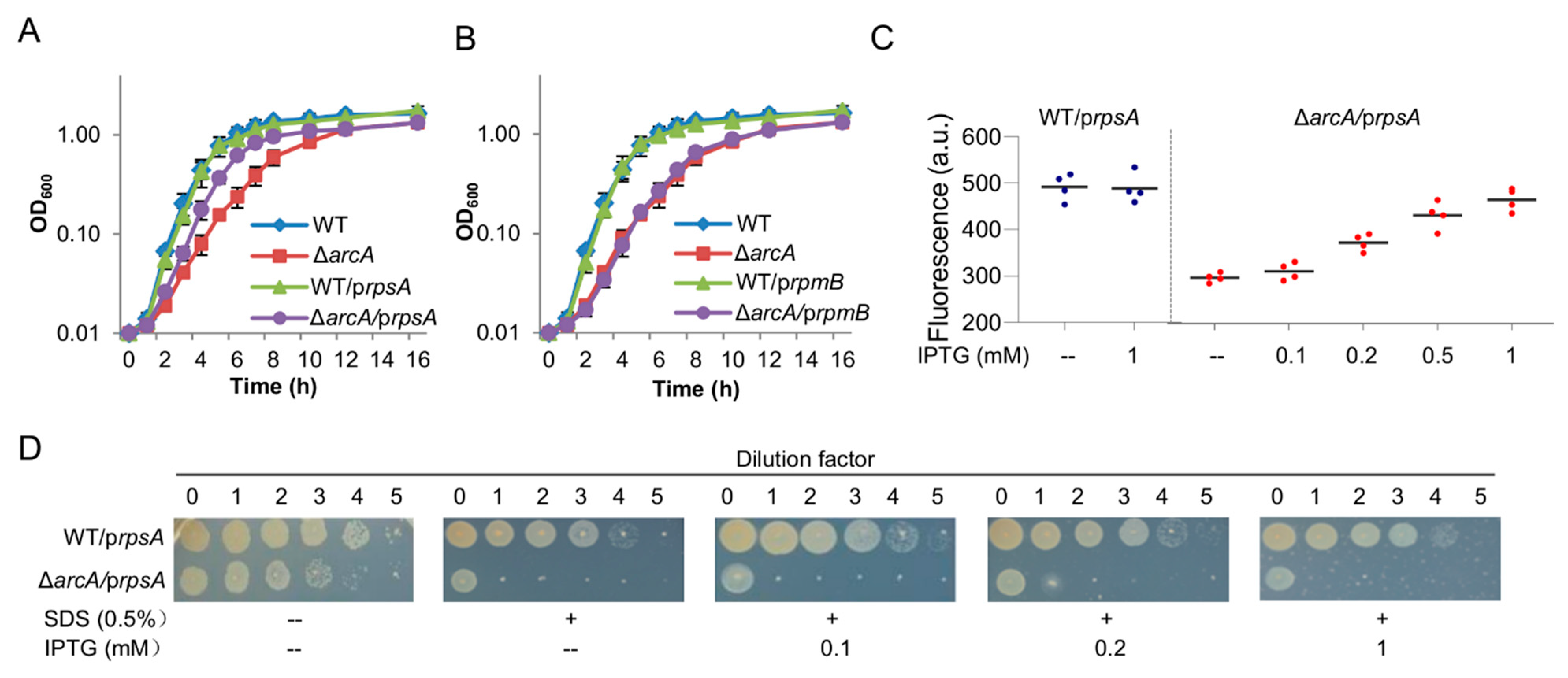 Life 11 00926 g006 Life 11 00926 g006
