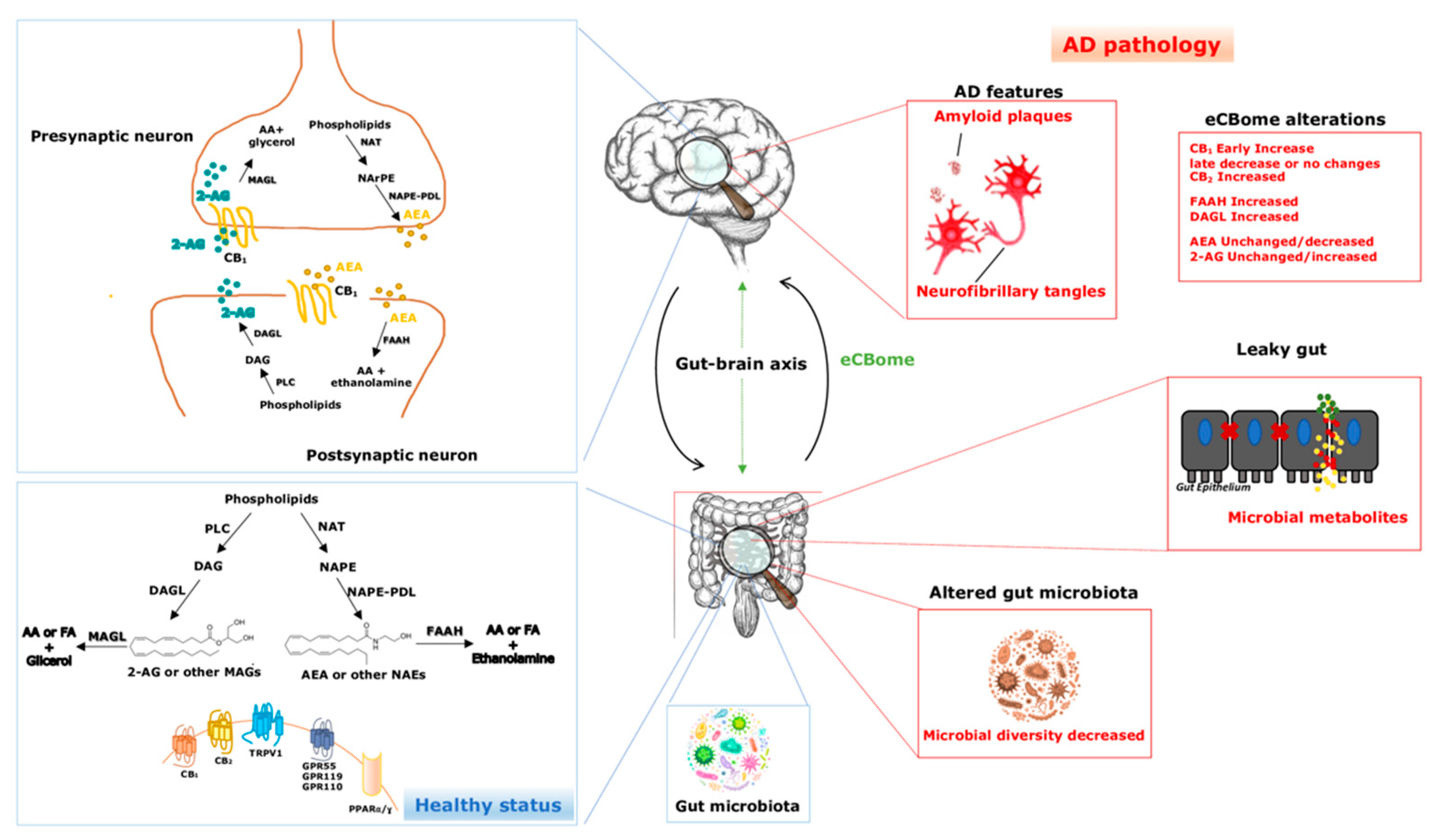Life 11 00934 g001 550