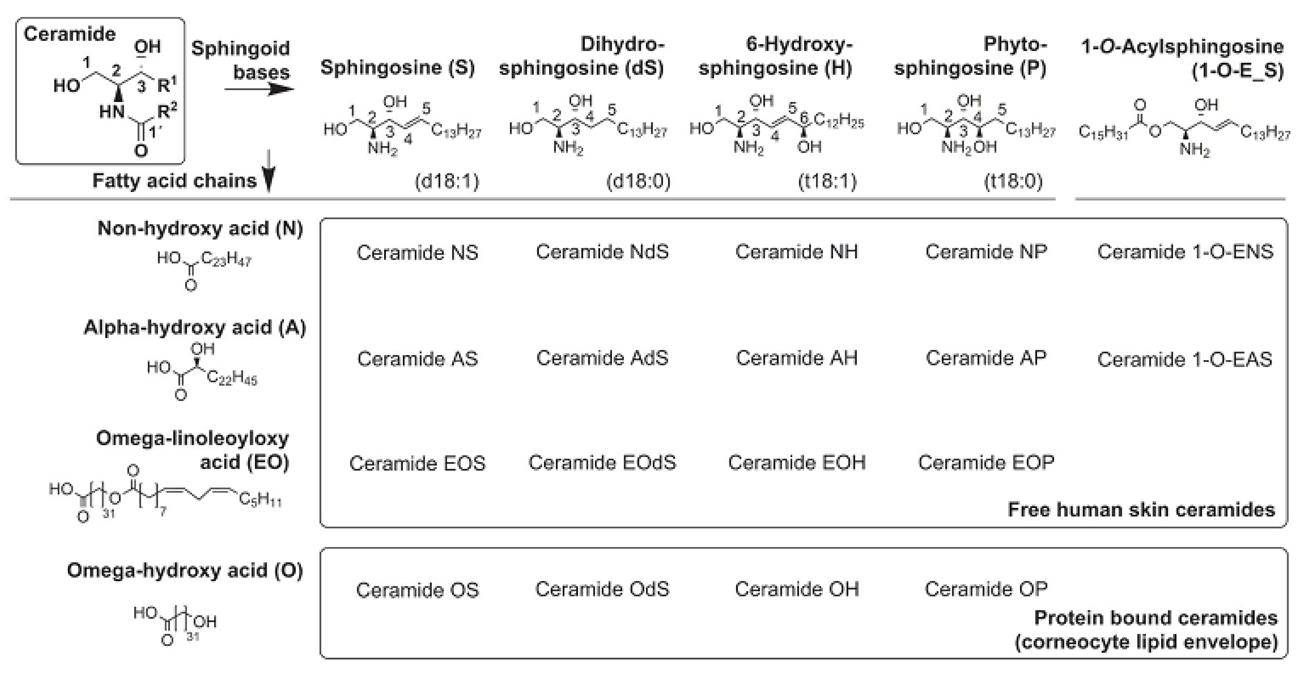 Life 11 00936 g001 Life 11 00936 g001
