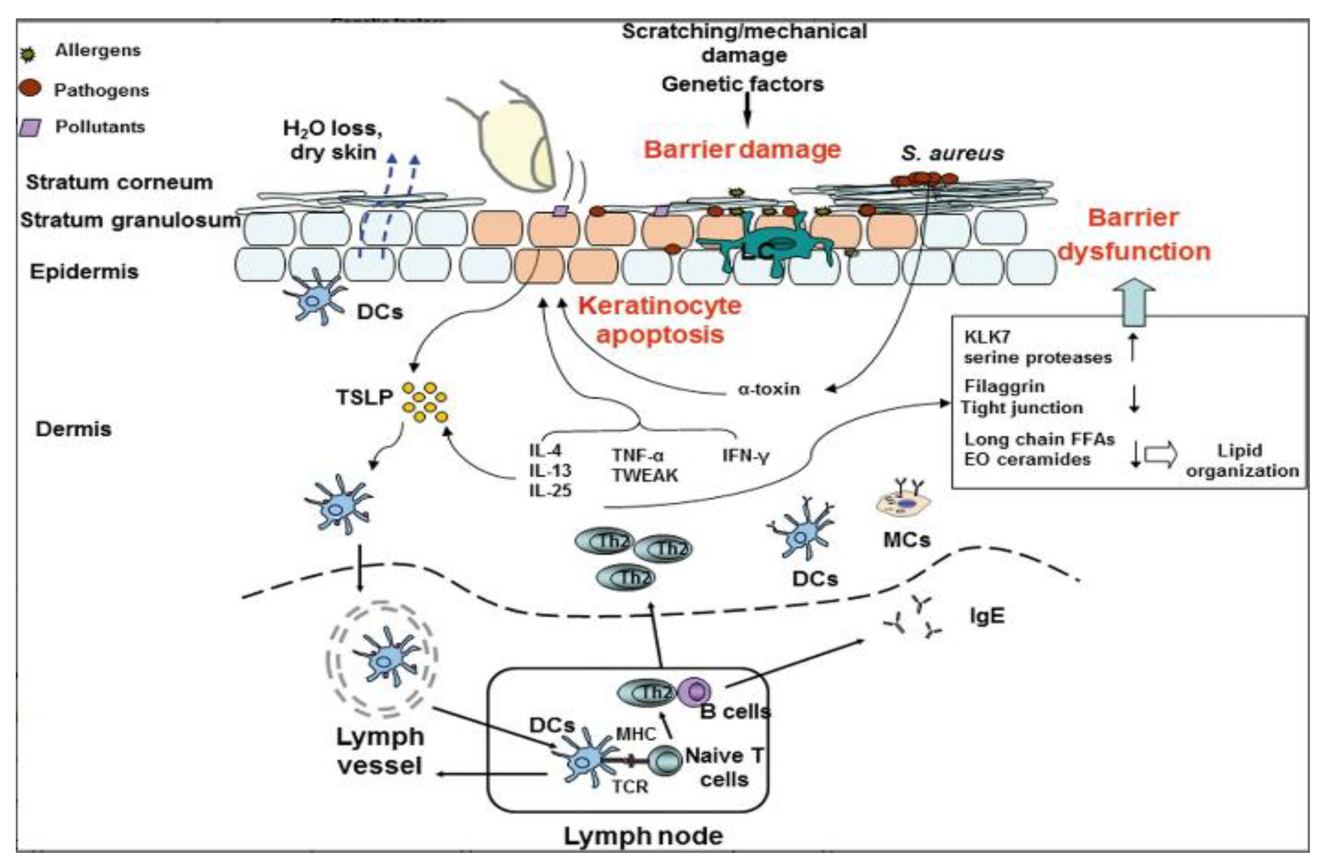 Life 11 00936 g002 Life 11 00936 g002