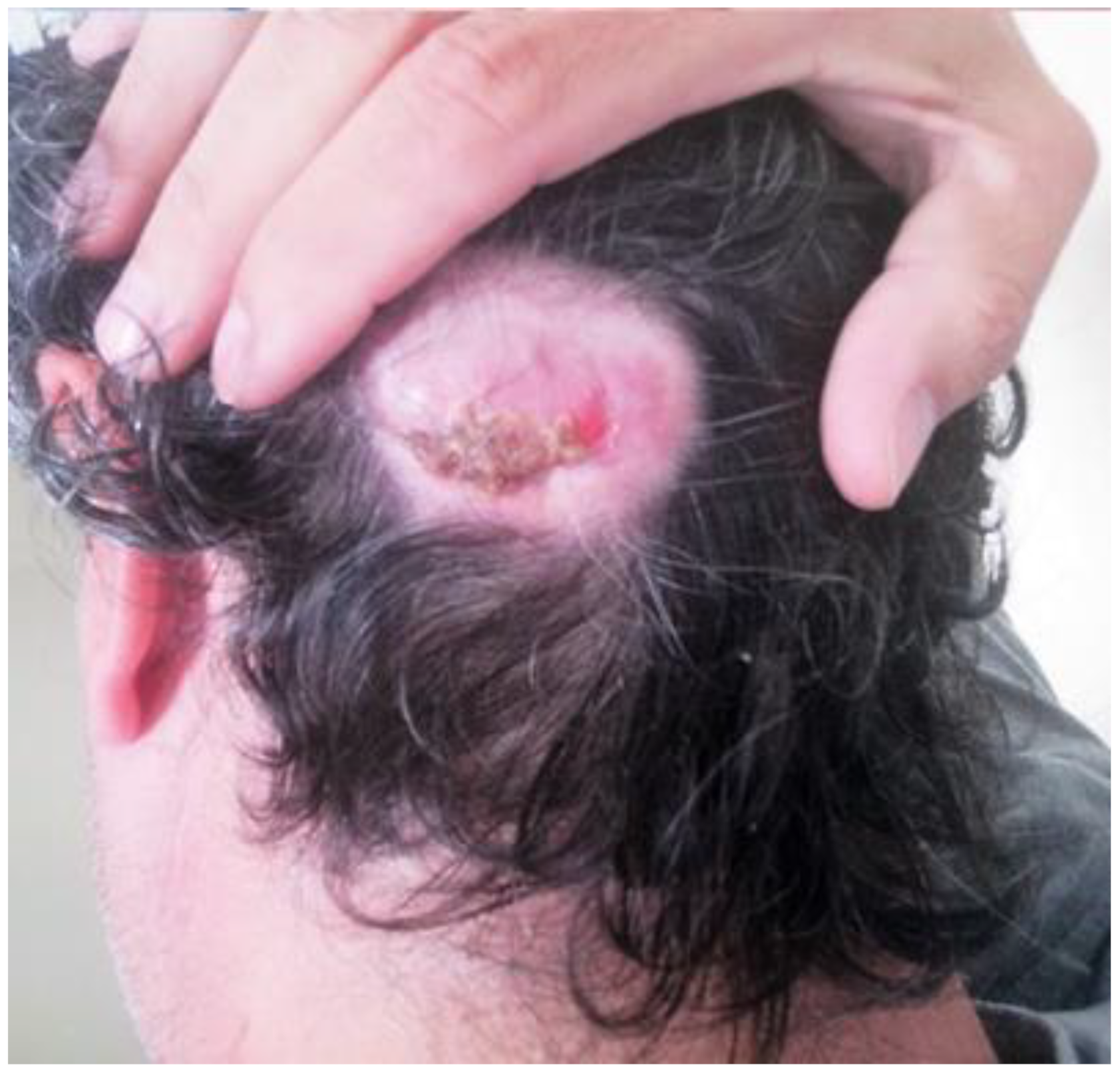 Life 11 00942 g004 Life 11 00942 g004