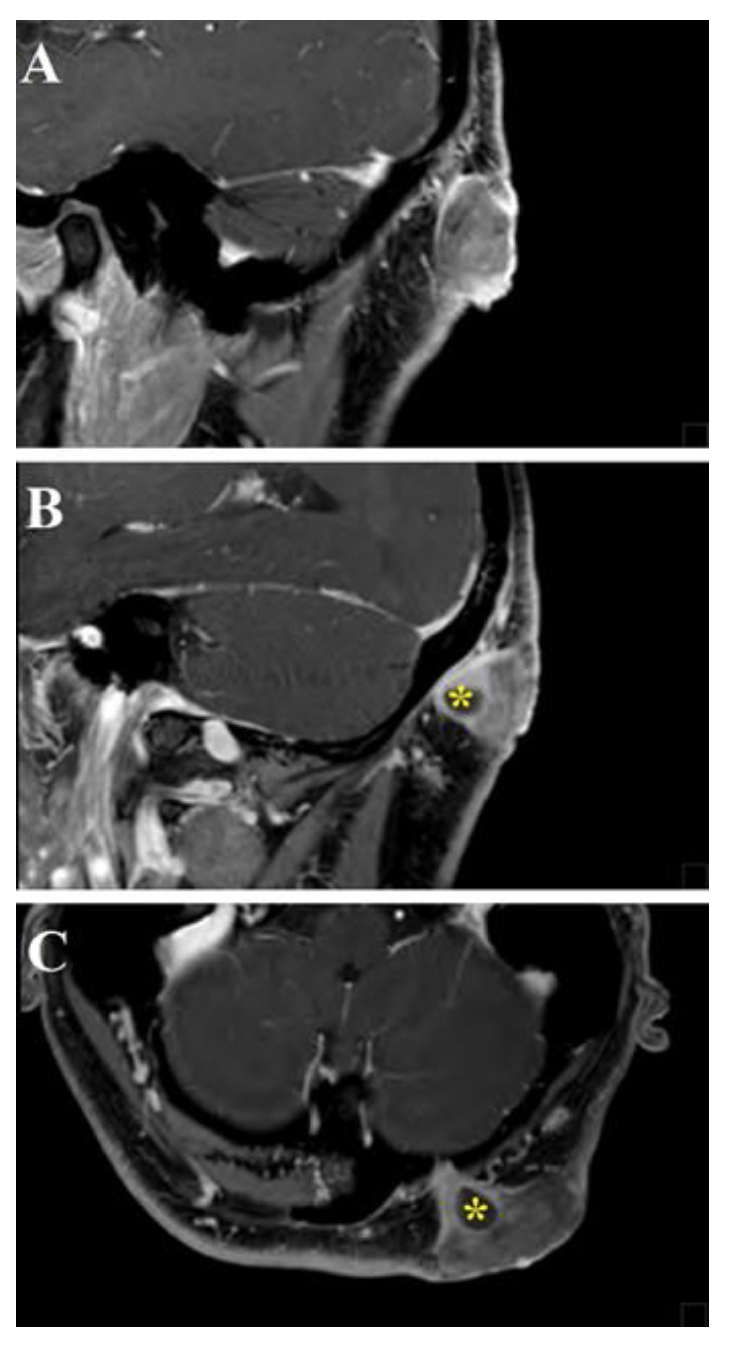 Life 11 00942 g005 Life 11 00942 g005