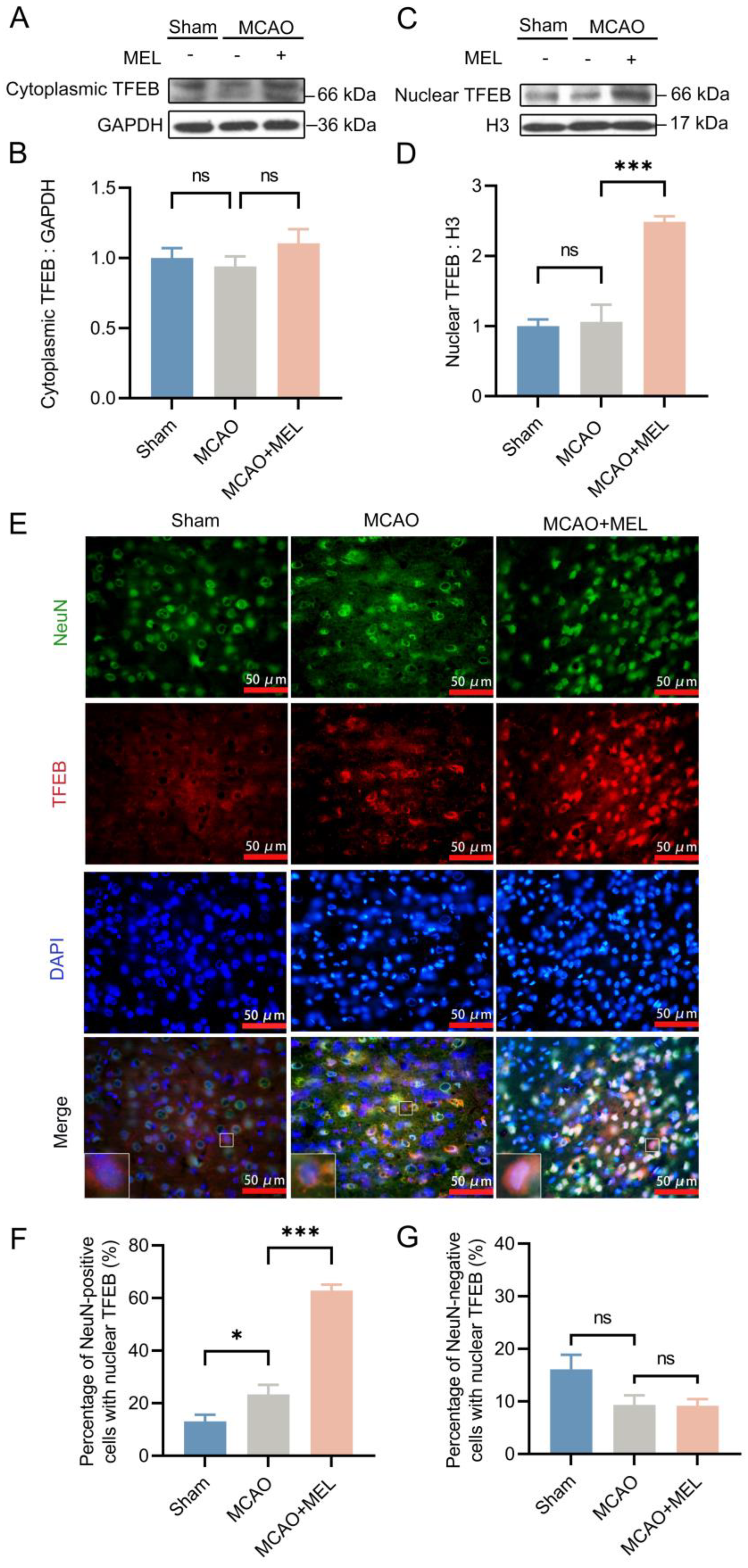 Life 11 00948 g002 Life 11 00948 g002