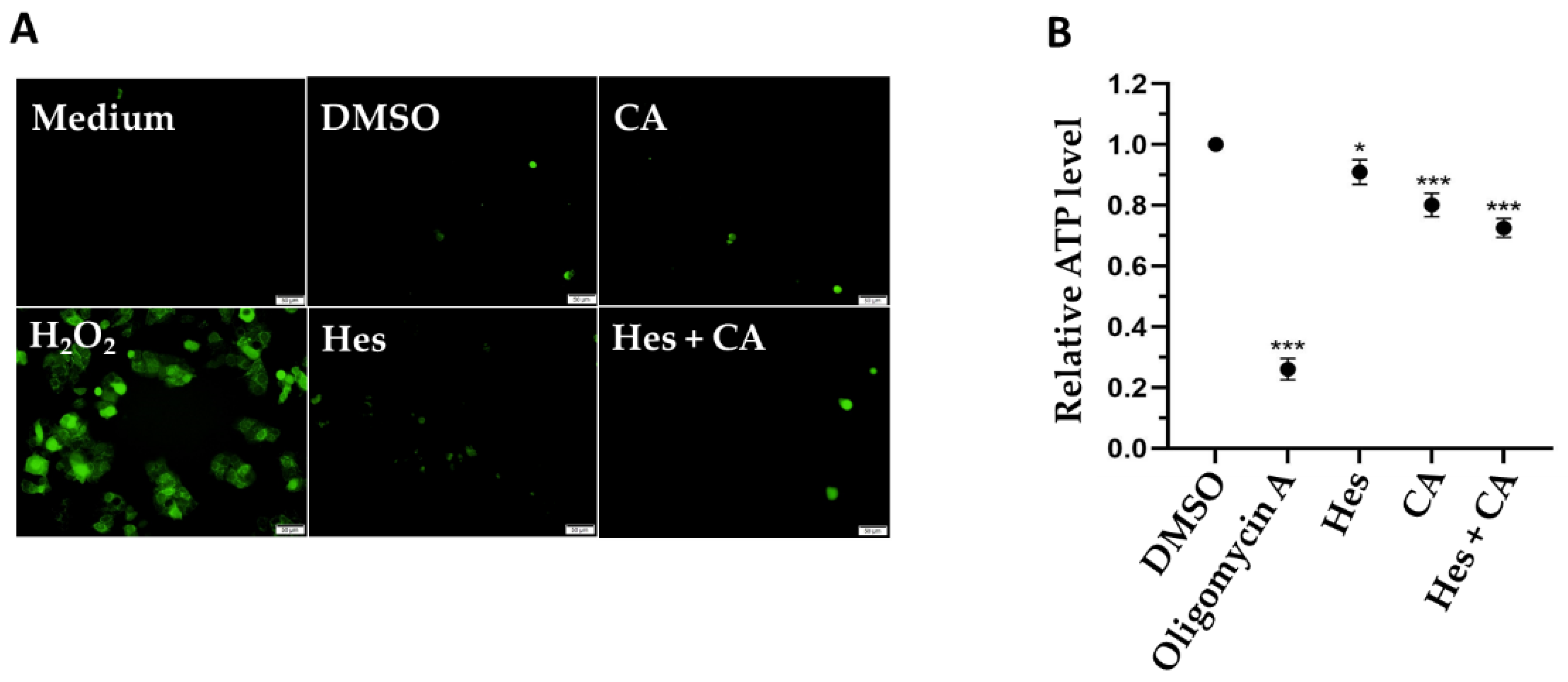 Life 11 00950 g004 550