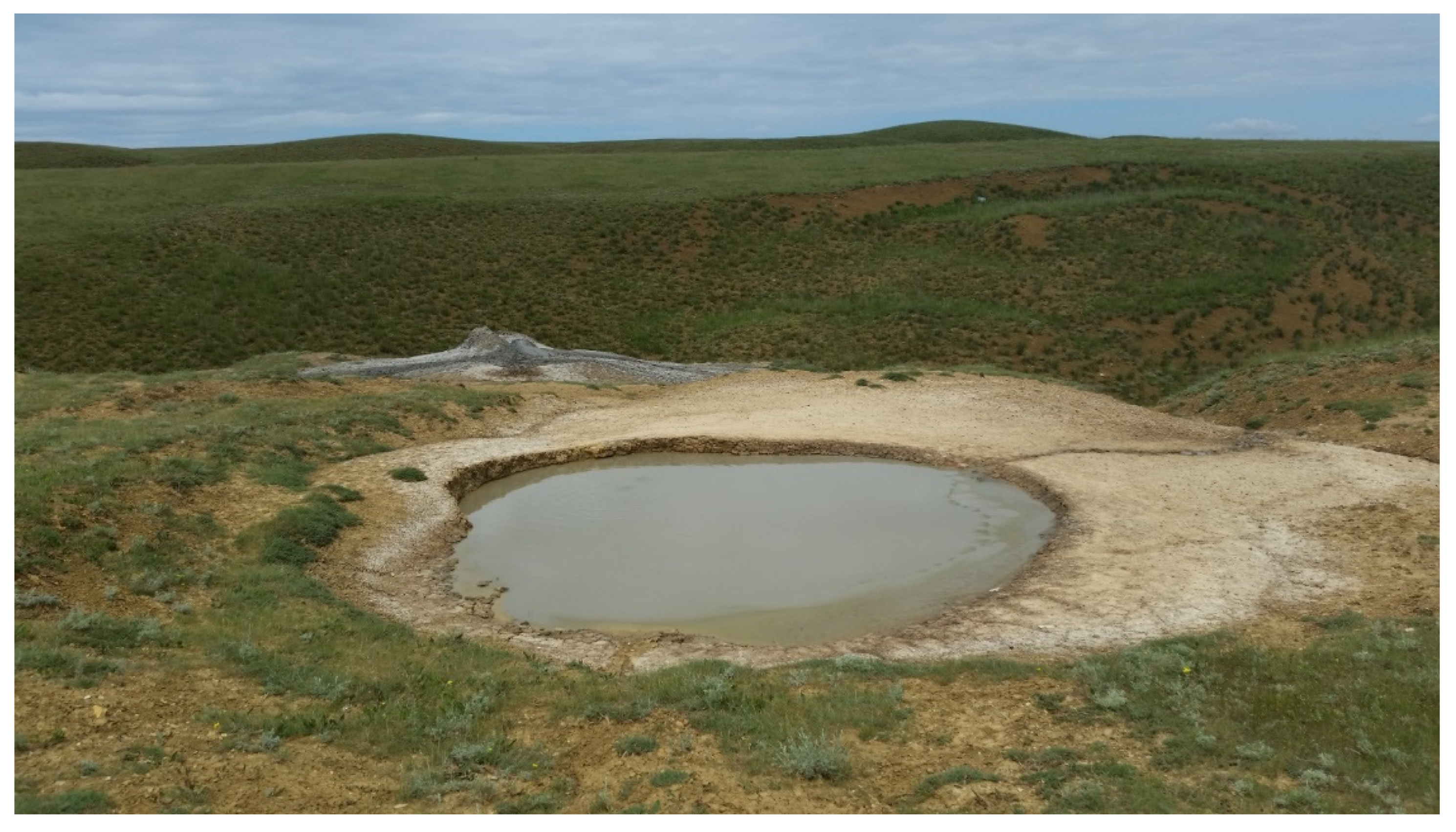 Life 11 00953 g001 550