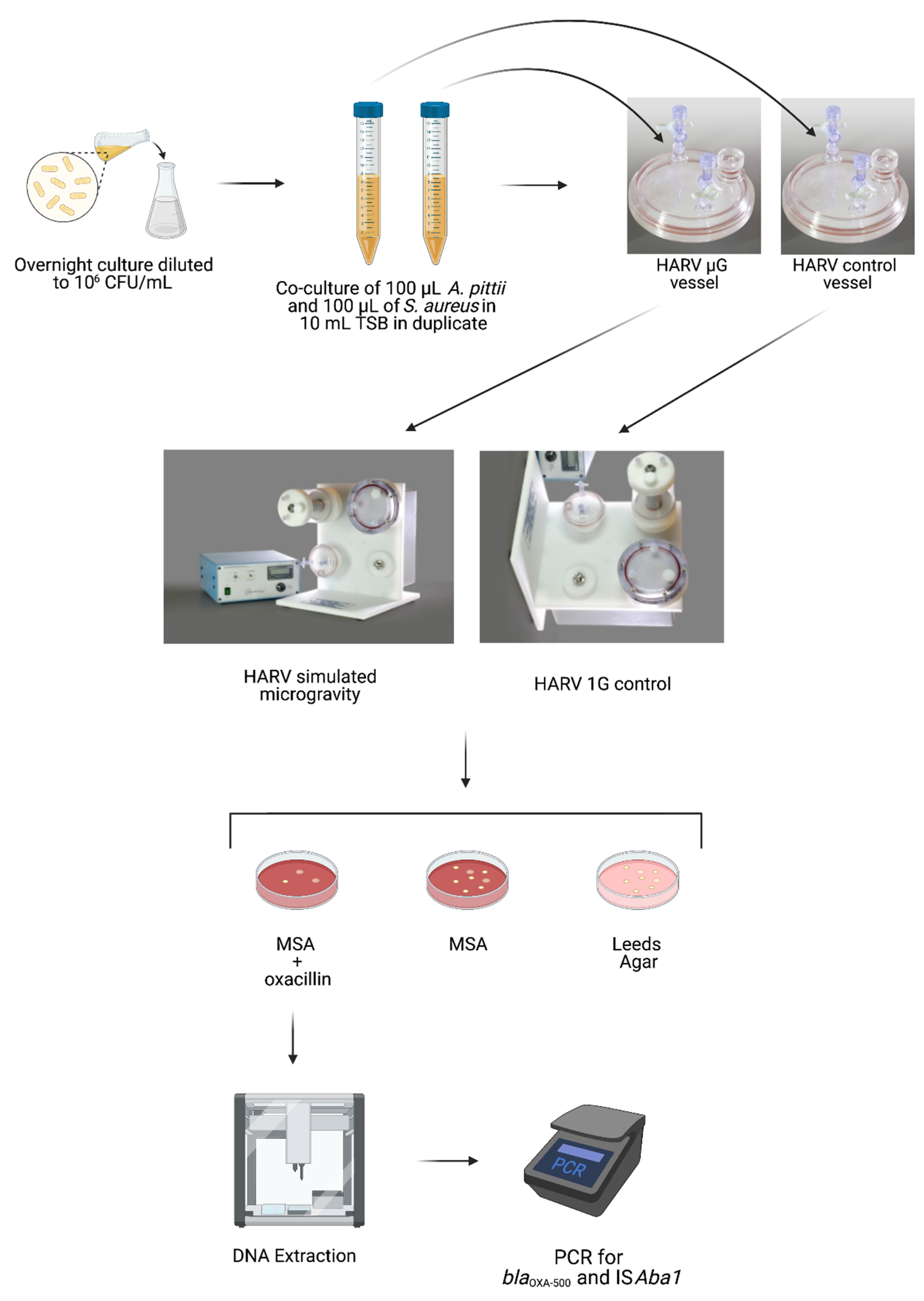 Life 11 00960 g001 550