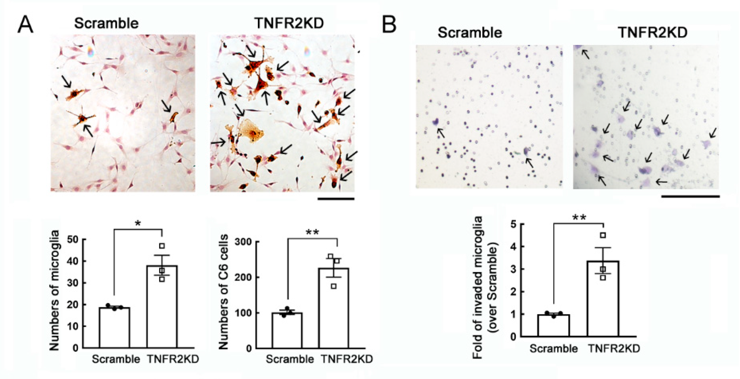 Life 11 00961 g001 550