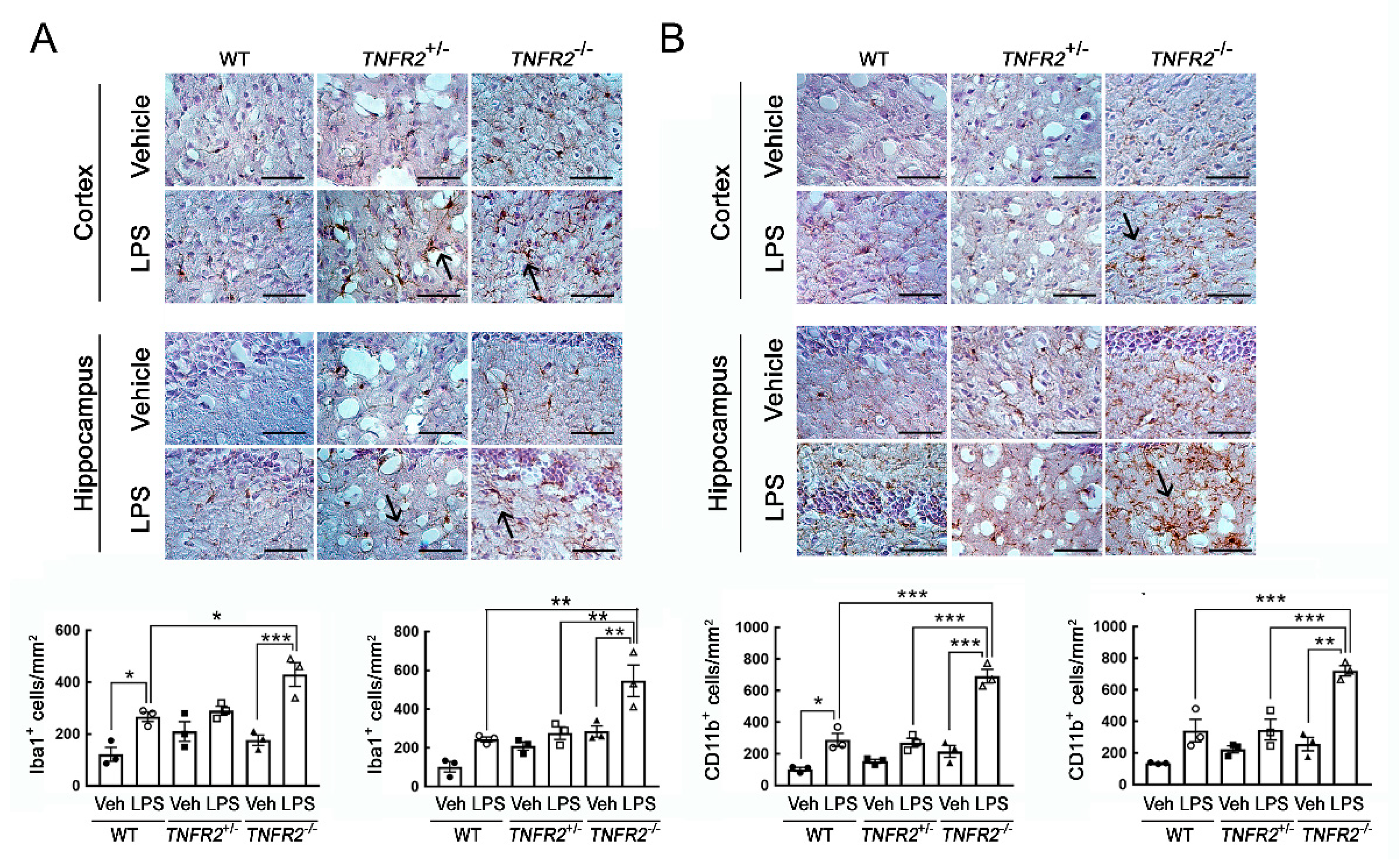 Life 11 00961 g003 550