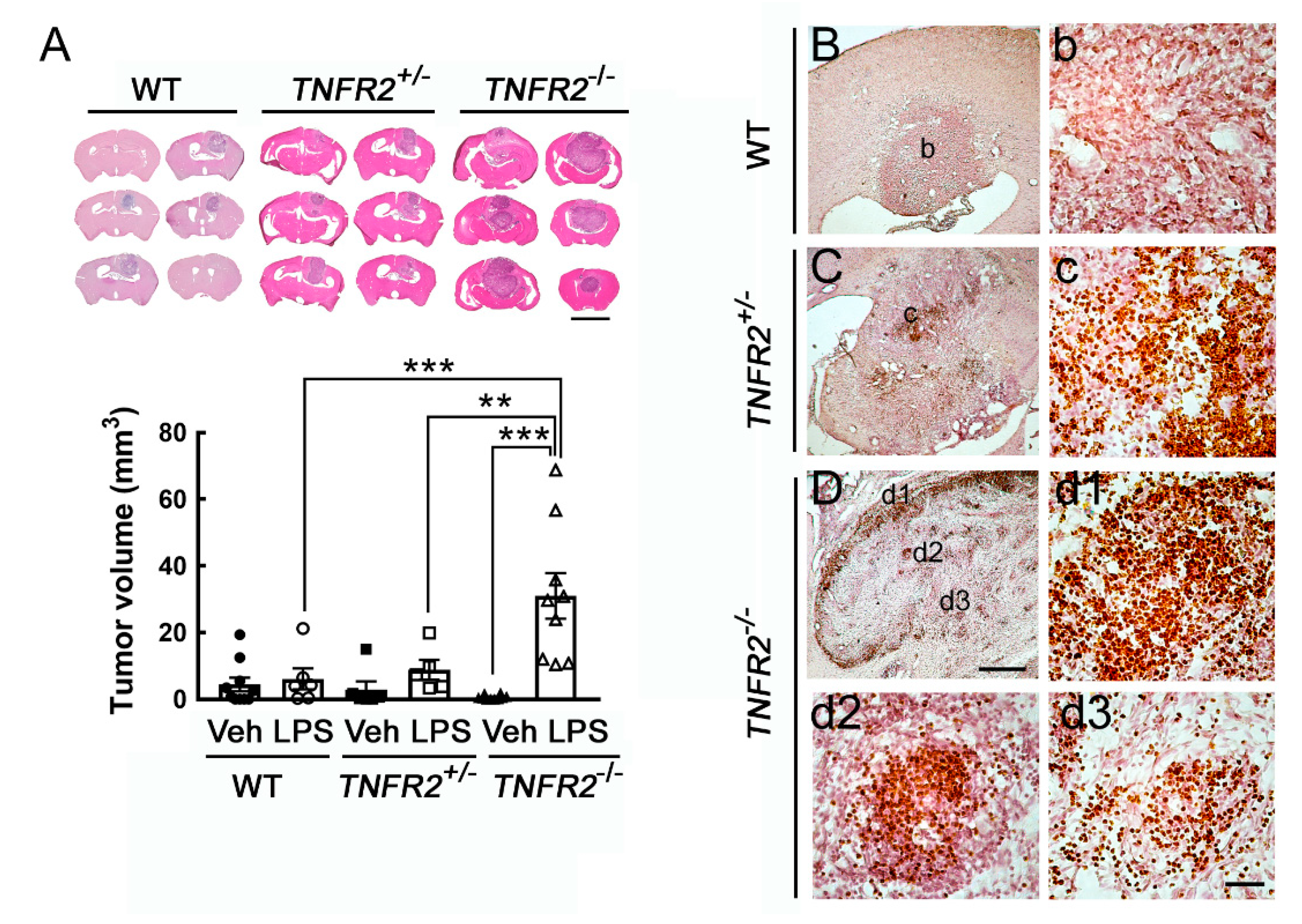 Life 11 00961 g004 550